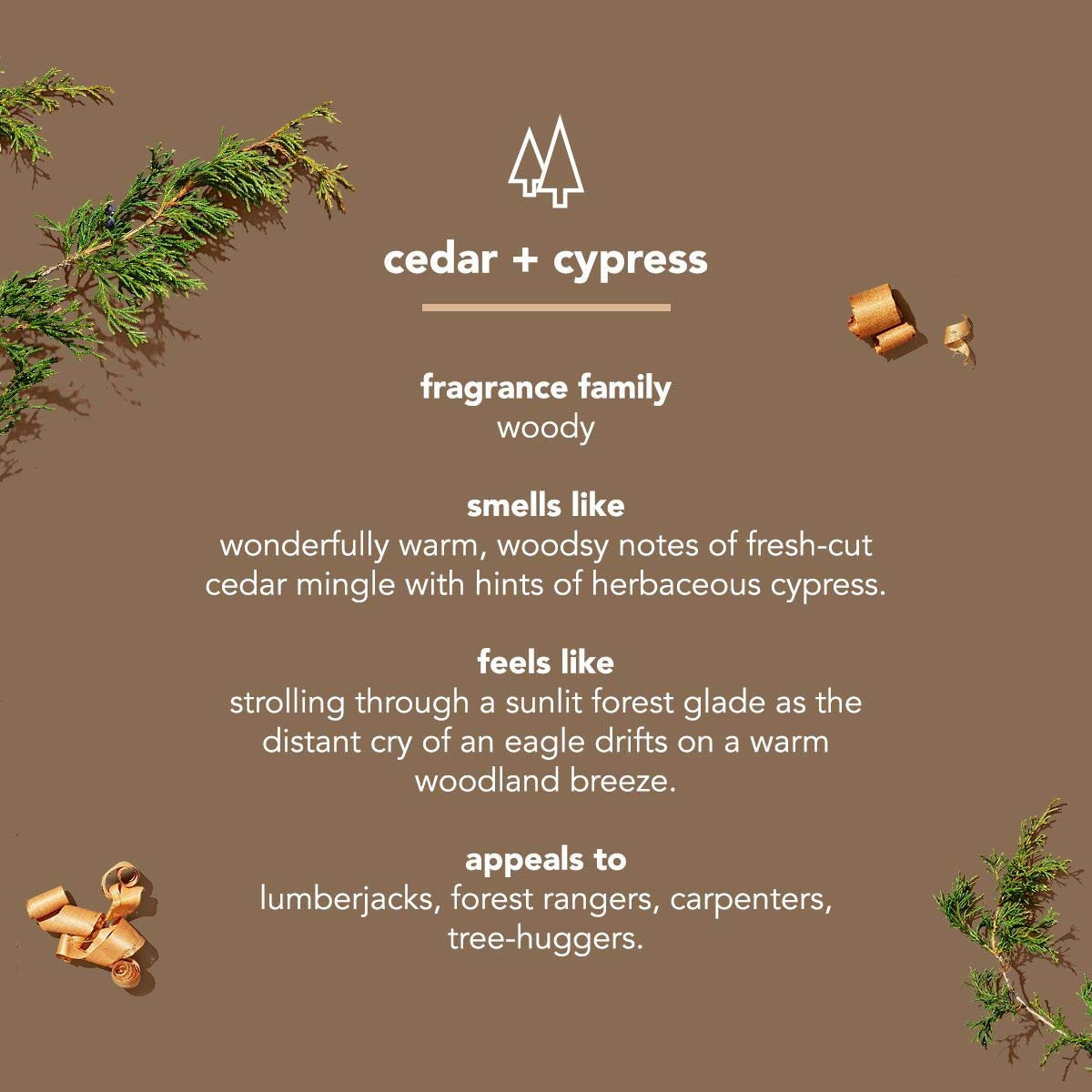 Method Mens Aluminum-Free Deodorant; Cedar & Cypress; 2.65 Ounce Pack of 6 - Image 5