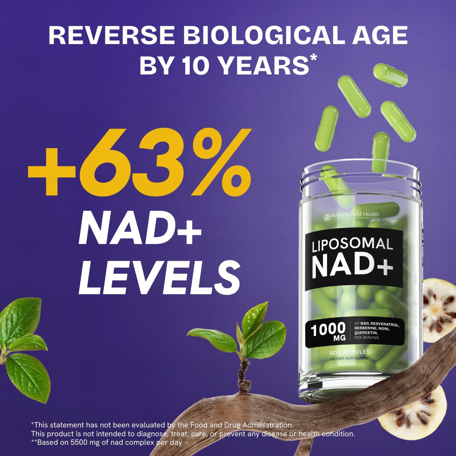 NMN Supplement Alternative - High Absorption NAD, Resveratrol, Berberine, Quercetin, Noni - Liposomal NAD Supplement for Anti Aging, Brain Support, Gut & Joint Heath - 60 Capsules - Image 6