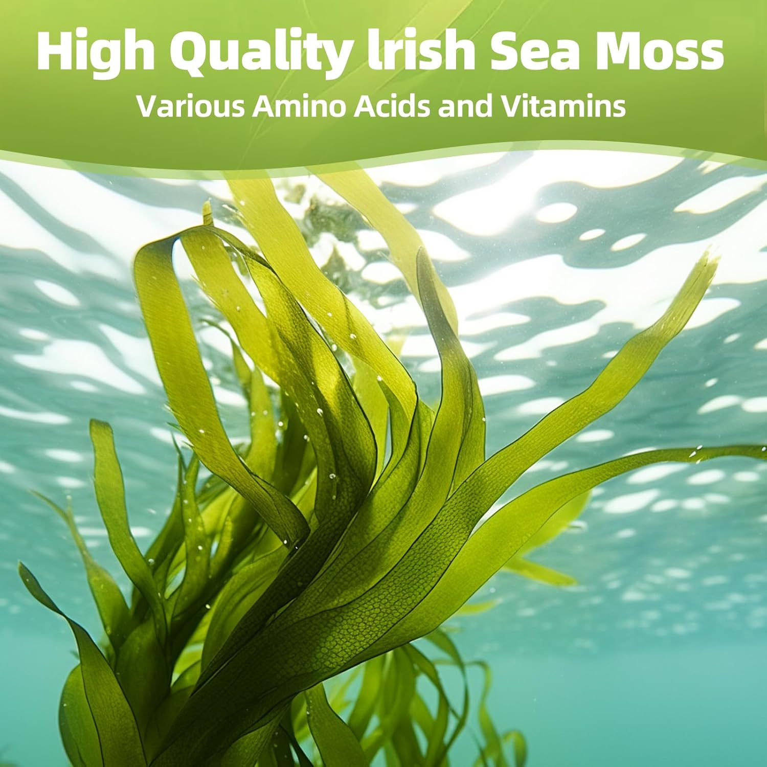 Sea Moss Capsules with Black Seed Oil, Ashwagandha, Turmeric, Bladderwrack, Burdock, Vitamin C&D3 for Immune System, Skin and Energy Support - Image 6