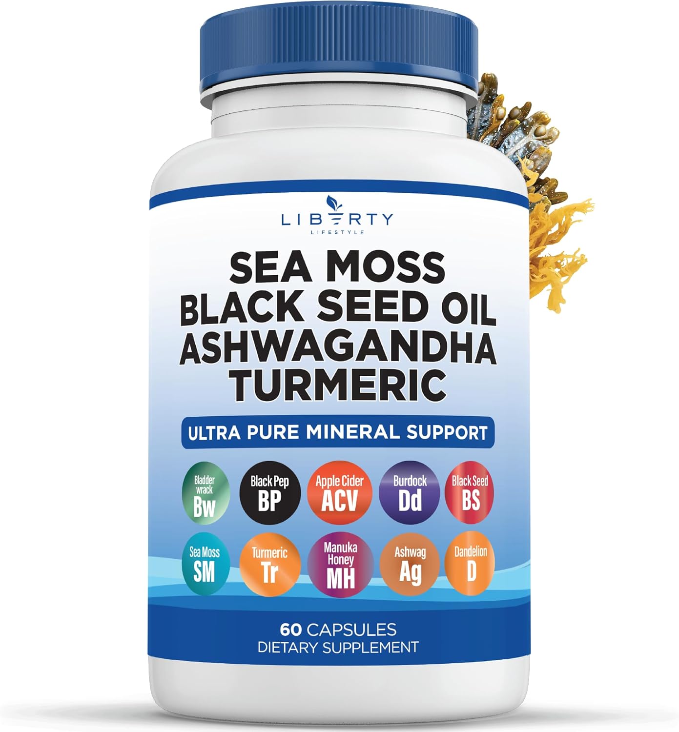 Sea Moss Black Seed Oil Ashwagandha Turmeric Bladderwrack Burdock - with Manuka, Honey Dandelion, ACV Black Pepper Gluten Free - 1-Pack - Image 2