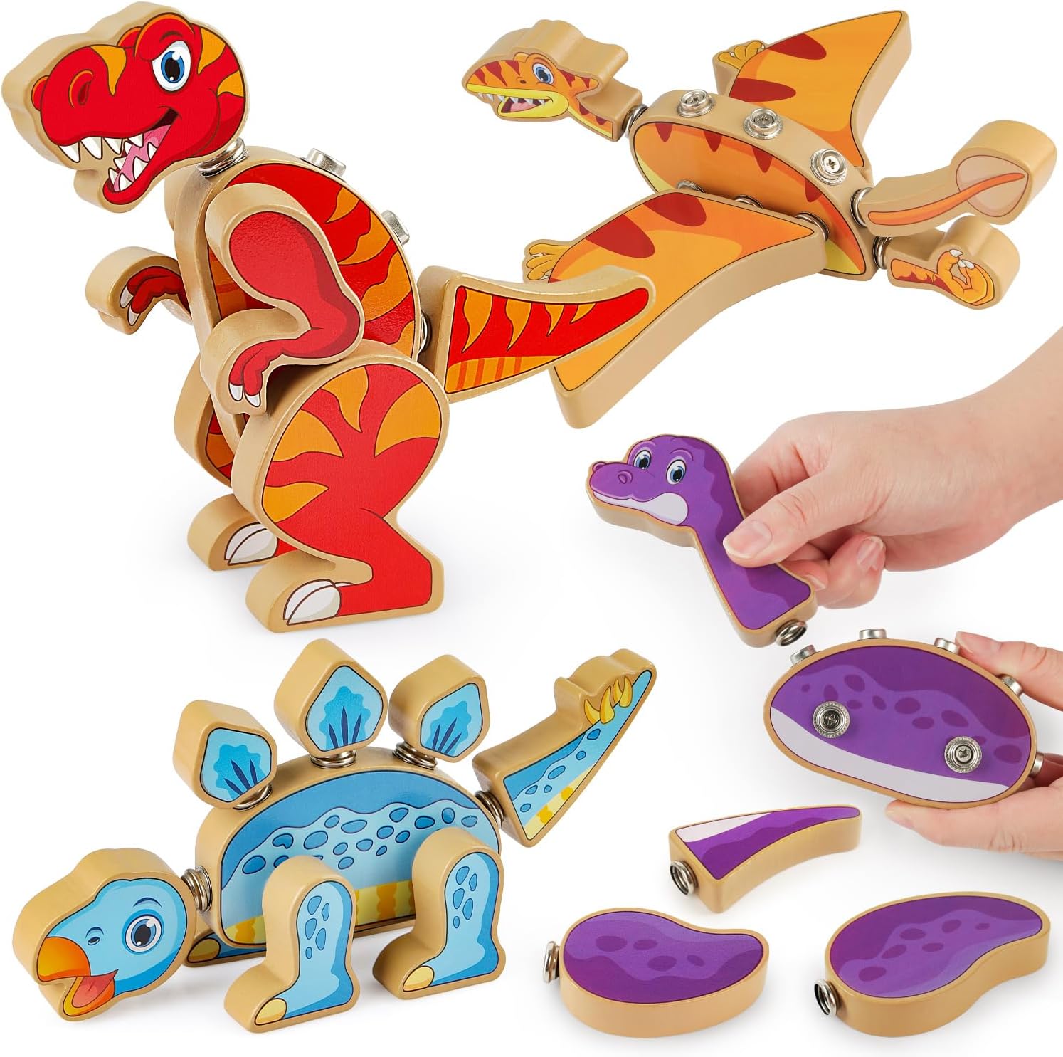 Coogam Dinosaur Snap Together Building Toys, Wooden Take Apart Dinosaur Playset, STEM Montessori Educational Fine Motor Skill Toy Gift for 3 4 5 Years Old Kids - Image 2