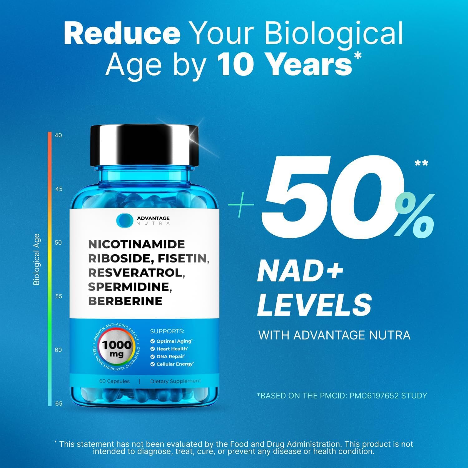 NMN Supplement Alternative - Liposomal Nicotinamide Riboside, Fisetin, Resveratrol, Spermidine, Berberine - High Purity NAD Supplement for Anti Aging, Heart & Joint Health 60 Capsules - Image 4