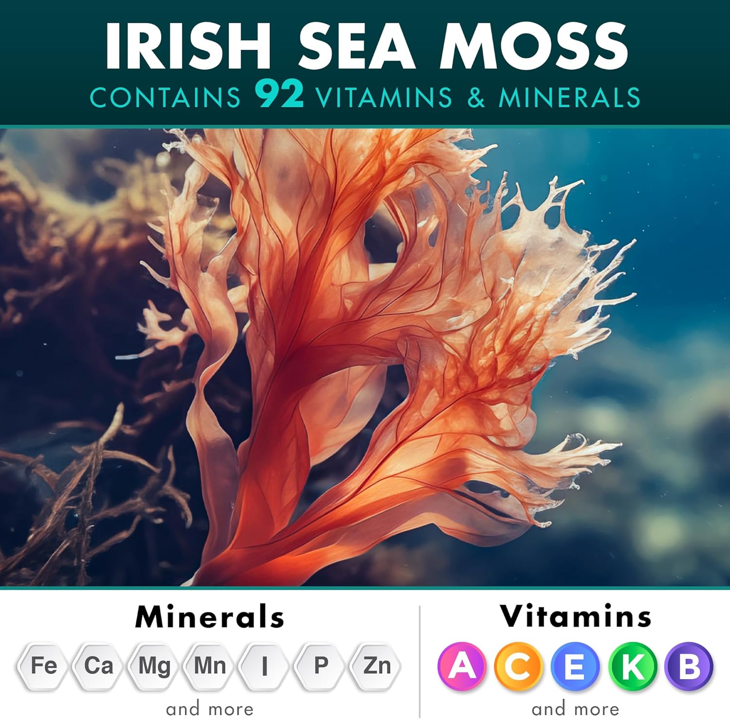 Irish Sea Moss Black Seed Oil Ashwagandha Ginger, 20,000mg Capsules, Seamoss Black Seed Oil Ashwagandha Burdock Root, All in One Supplement, 120 Capsules - Image 4