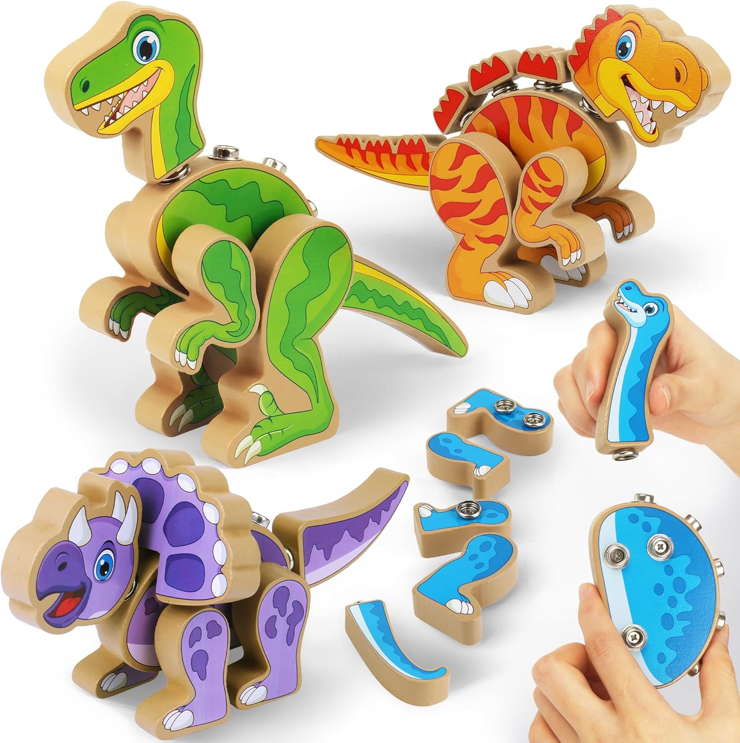 Coogam Build Your Own Dinosaurs Toy, Snap Together Building Dinosaurs Playset, Wooden STEM Take Apart Dinosaur Builder, Montessoi Fine Motor Building Toy Gift for 3 4 5 Years Old Kids - Image 2