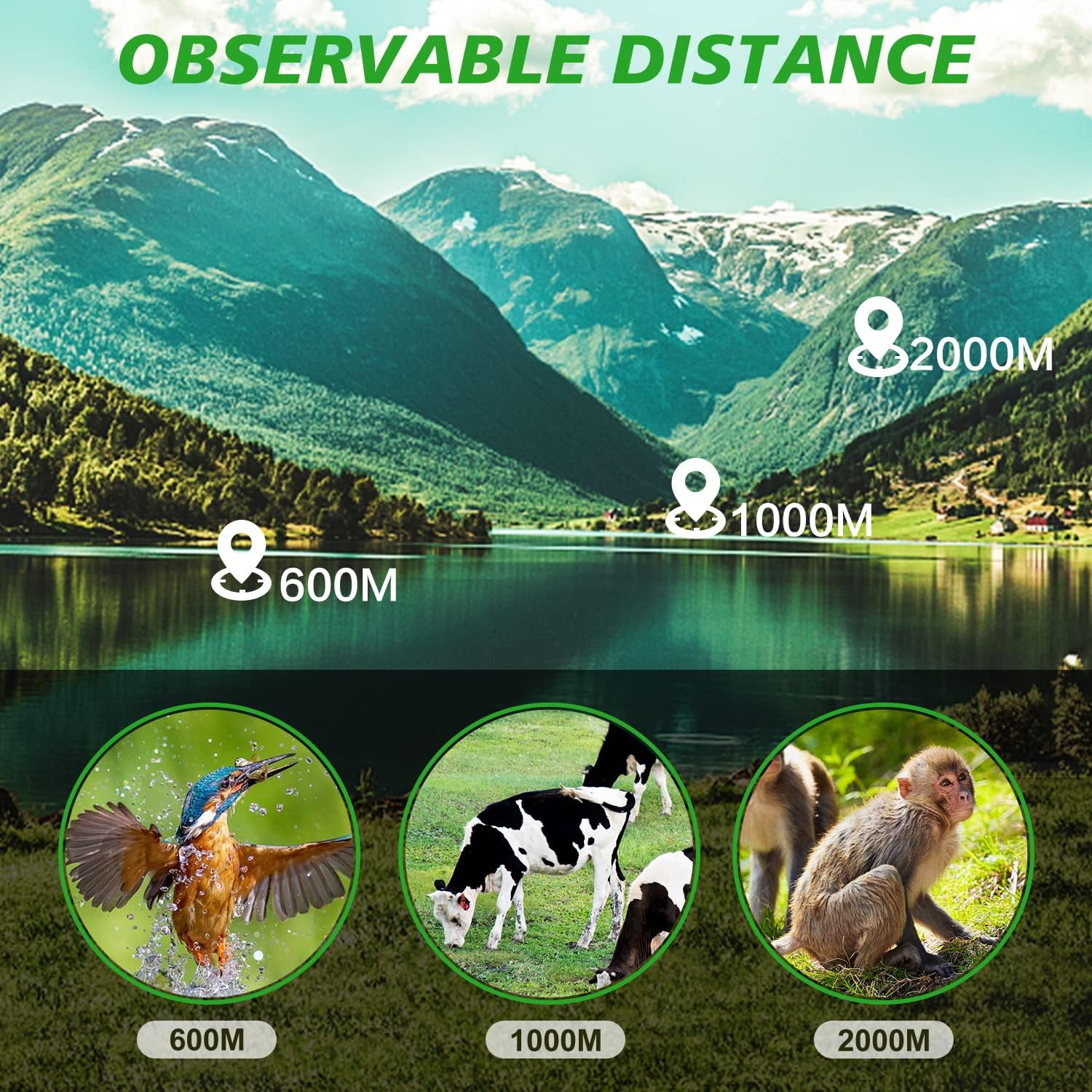 16X52 Monocular Telescope High Powered for Adults, 2023 Power Prism Compact Monoculars for Adults,HD Monocular Scope for Gifts, Outdoor Activity,Bird Watching,Hiking,Concert,Travelling - Image 7