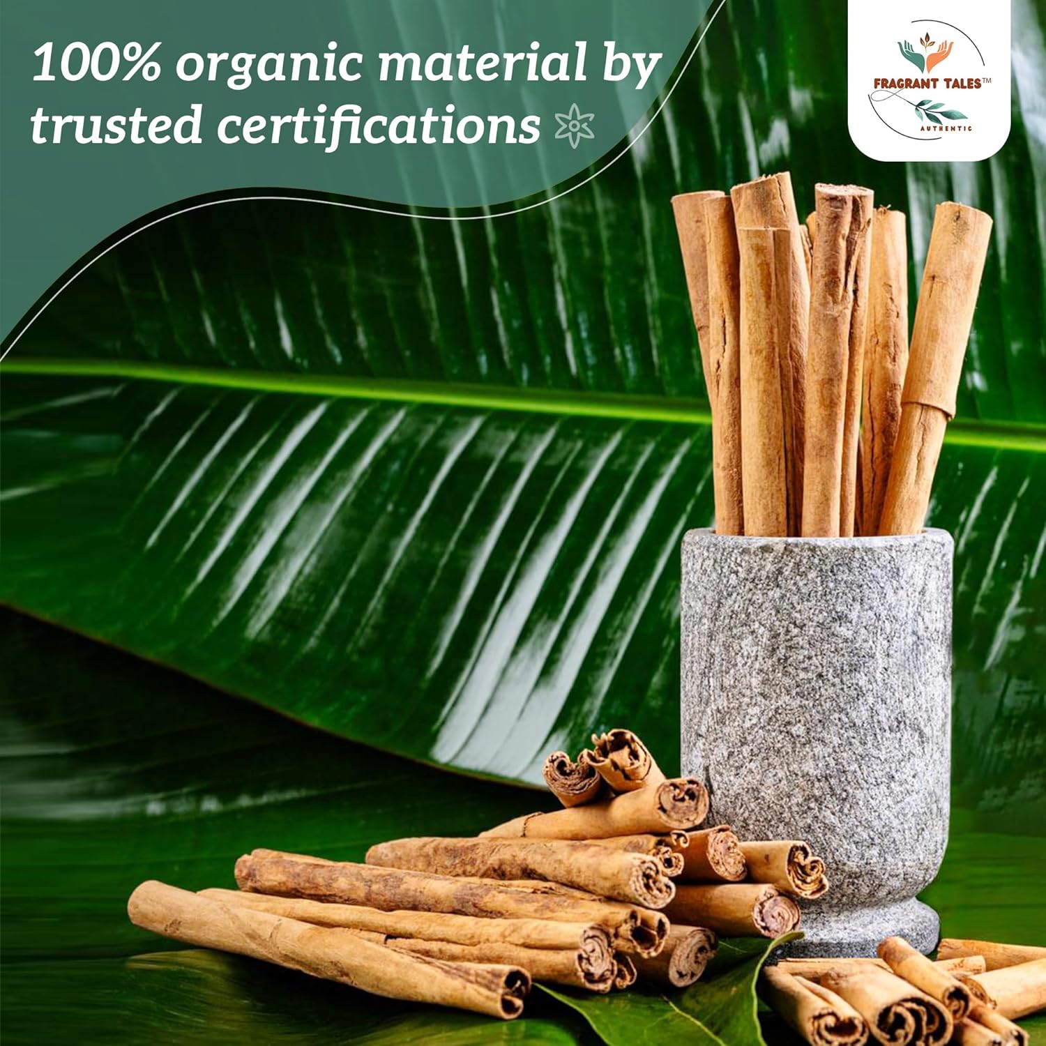 Premium Organic Ceylon Cinnamon Sticks - 2 oz (56g), True Ceylon, USDA Certified, Non-GMO, Gluten-Free, Pure Sri Lankan Cinnamon for Cooking & Baking - Image 10