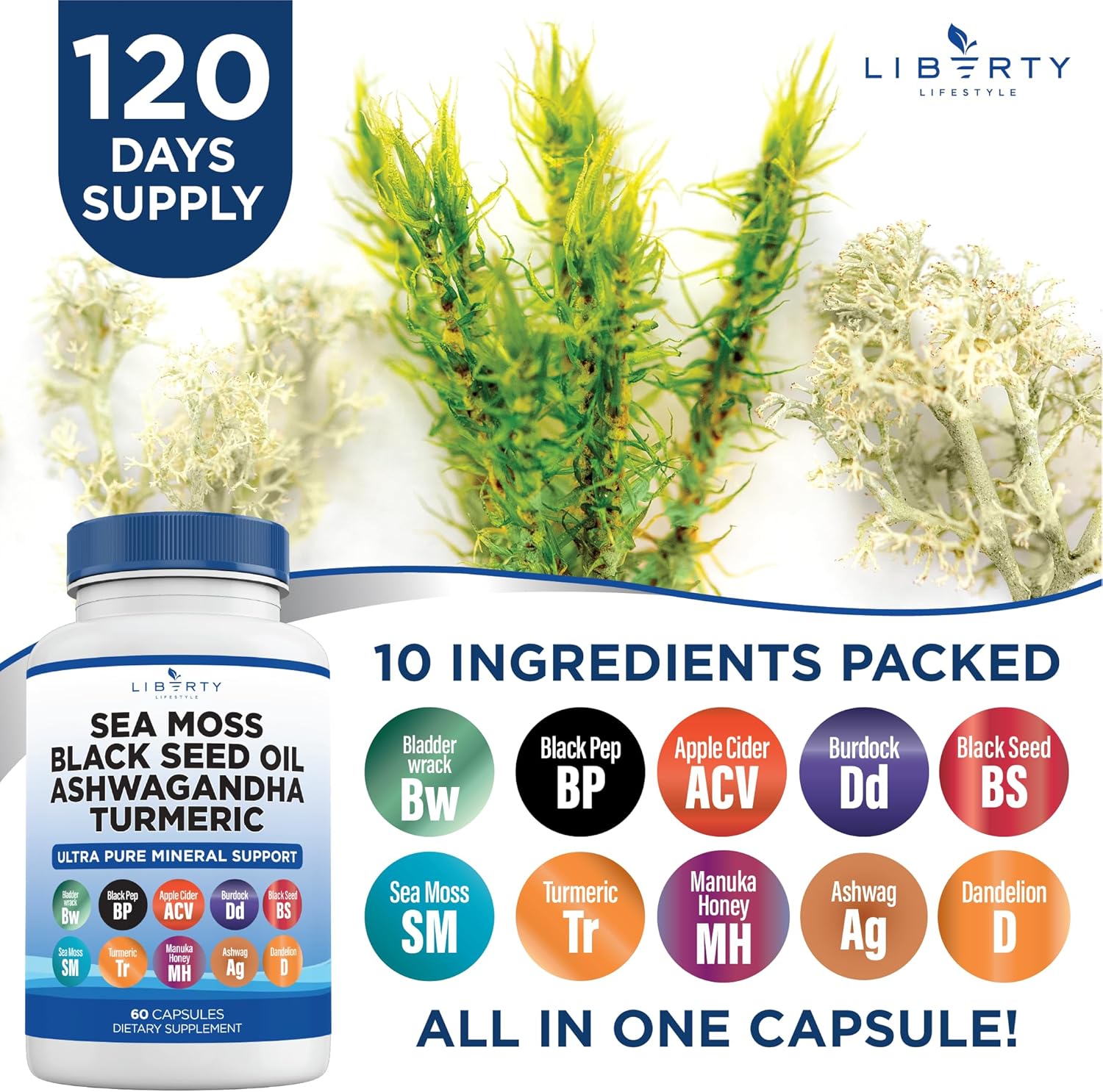 Sea Moss Black Seed Oil Ashwagandha Turmeric Bladderwrack Burdock - with Manuka, Honey Dandelion, ACV Black Pepper Gluten Free - 1-Pack - Image 7