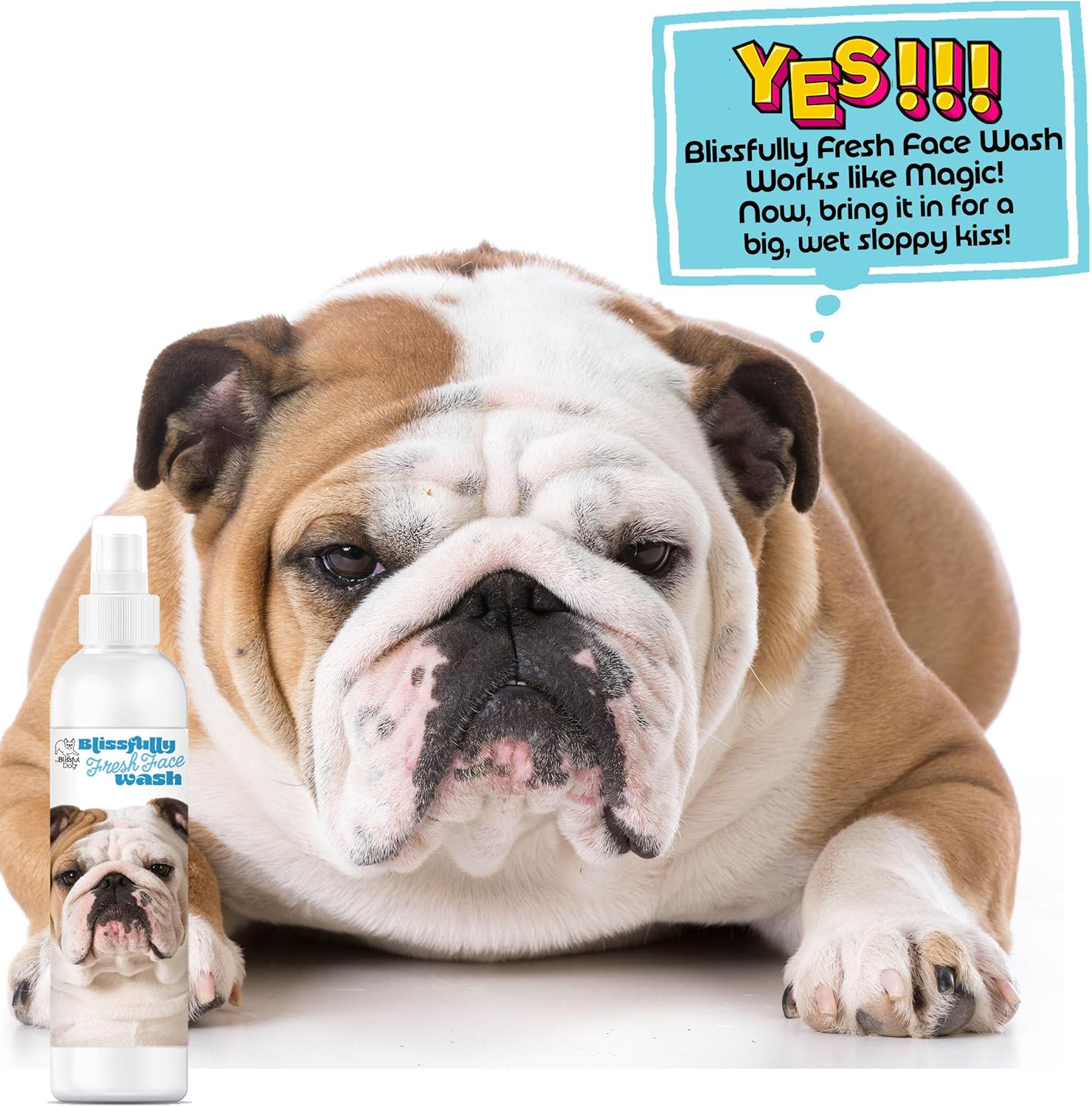 The Blissful Dog Blissfully Fresh Face Wash - Cleans Facial Folds and Wrinkles, 4-Ounce, Bulldog - Image 7