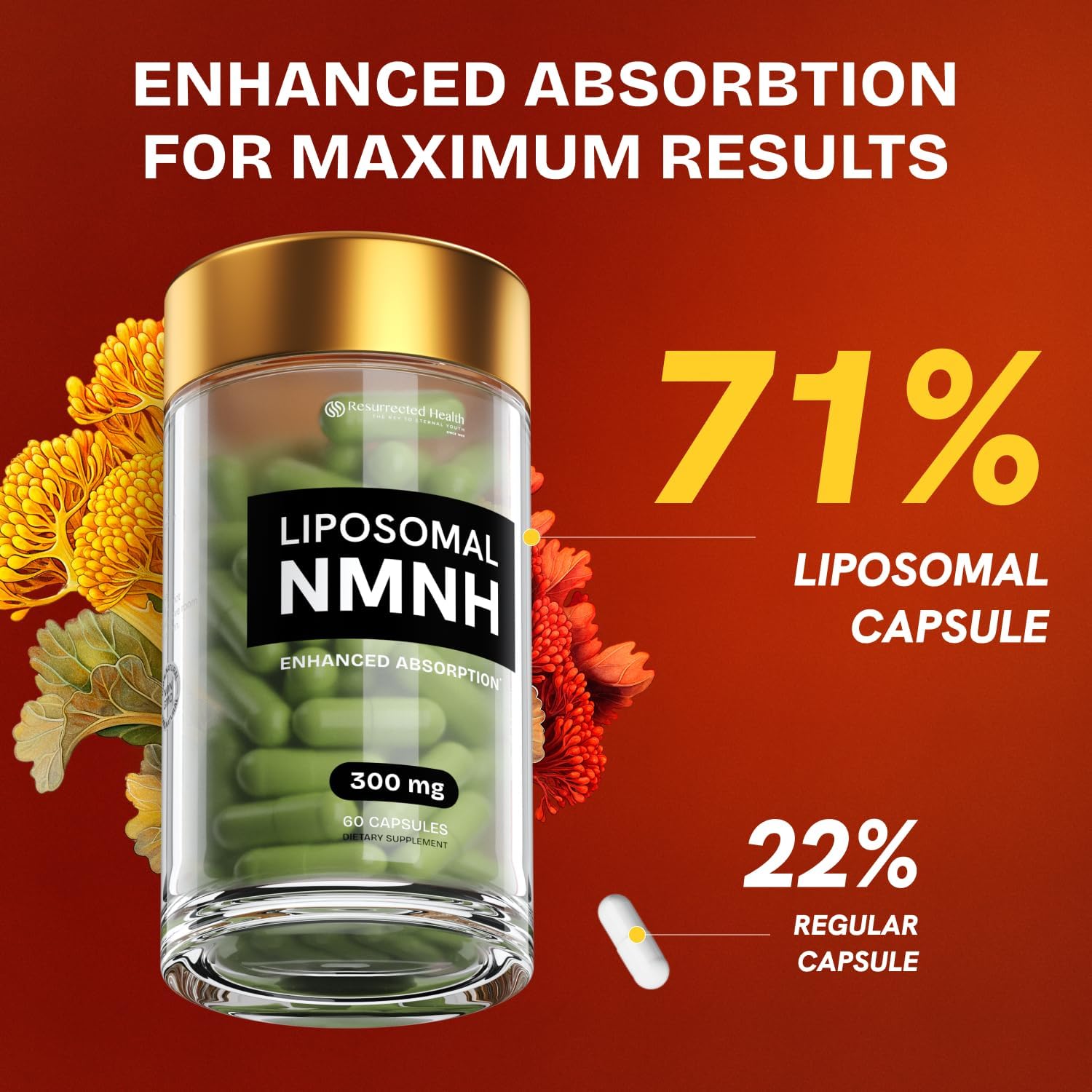 NMN Supplement Alternative - Liposomal NMNH (Dihydronicotinamide Mononucleotide) - High Purity NAD Supplement for Anti Aging, Energy, Focus - 60 Capsules - 300mg - Image 6