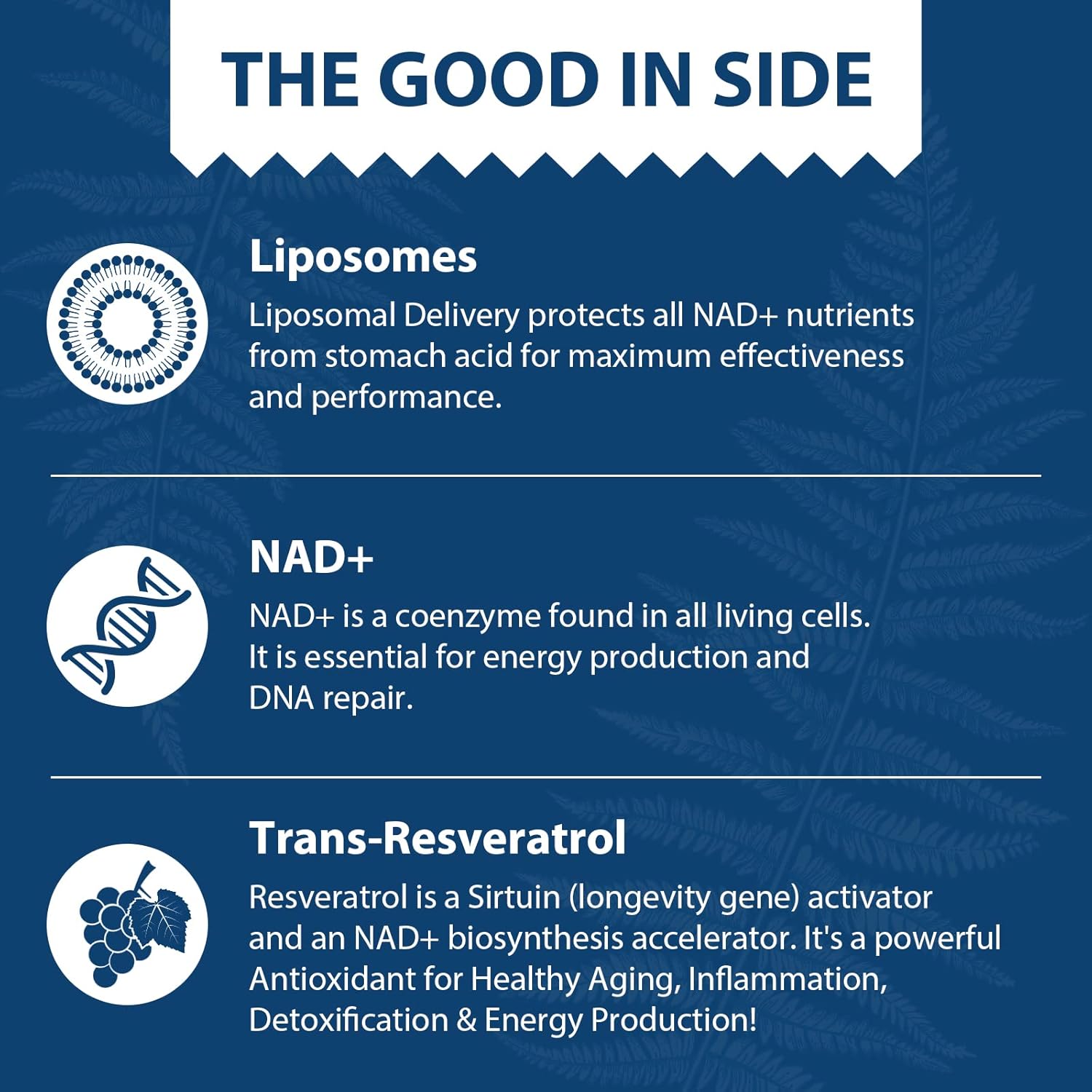 Liposomal NAD+ 500 mg + Trans-Resveratrol 300 mg, Superior Absorption True NAD Supplement Efficient for Cellular Energy Metabolism & DNA Repair, 60 Softgels - Image 5