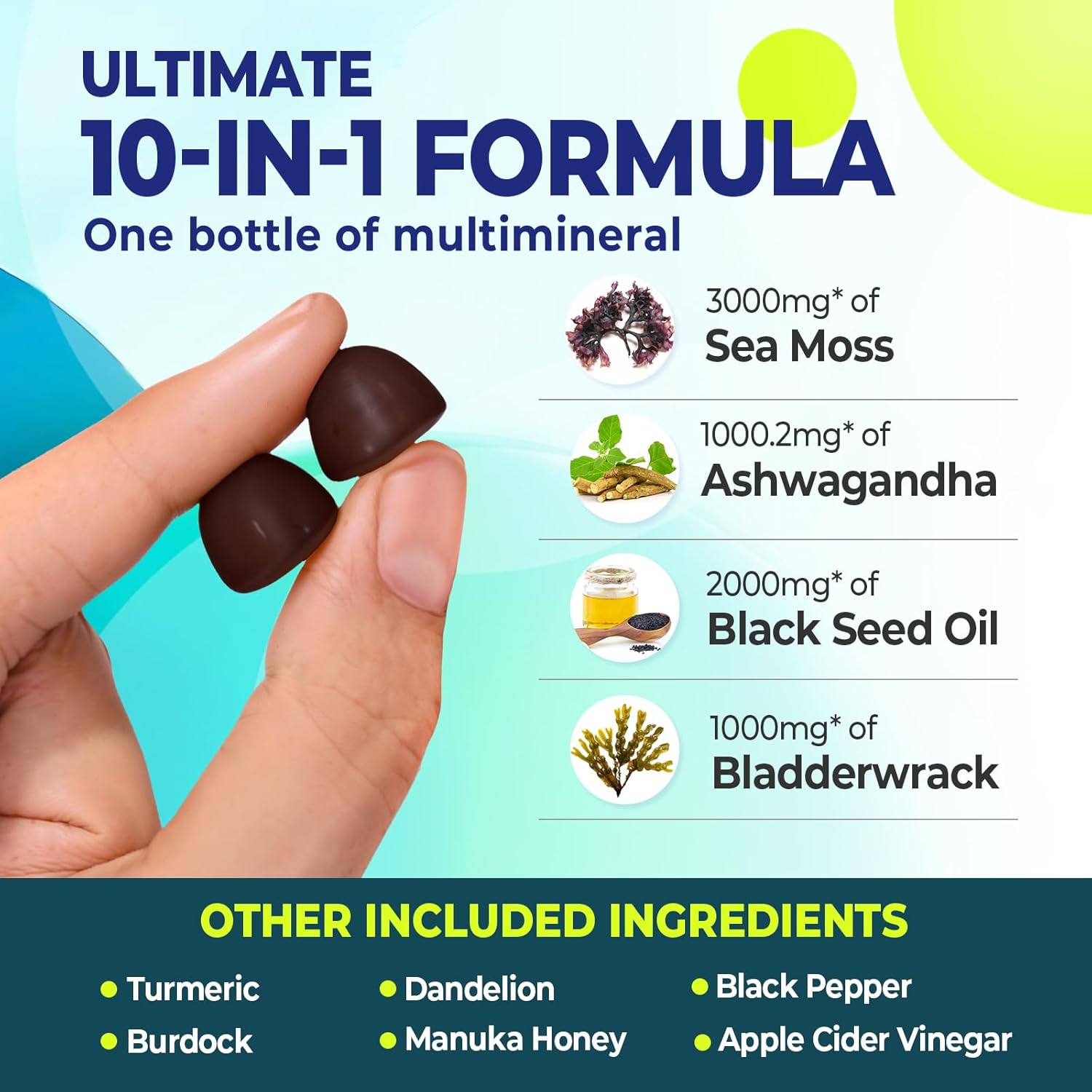 Sea Moss Gummies, Black Seed Oil Gummies, Ashwagandha Bladderwrack, Burdock Turmeric Apple Cider Vinegar Manuka Honey Dandelion - for Immune and Digestive Support 60 Count - Image 3