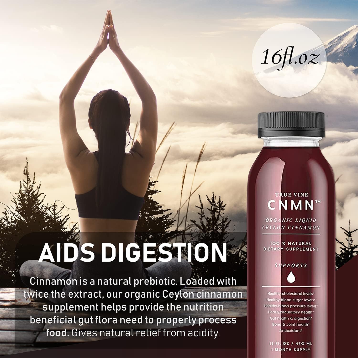 True Vine 3200mg Liquid Ceylon Cinnamon Supplement (Made in USA) for Healthy Heart, Blood Pressure, Sugar, Cholesterol, Gut & Joints — 100% Organic Ceylon Cinnamon to Fight Free Radicals (16 fl oz) - Image 7