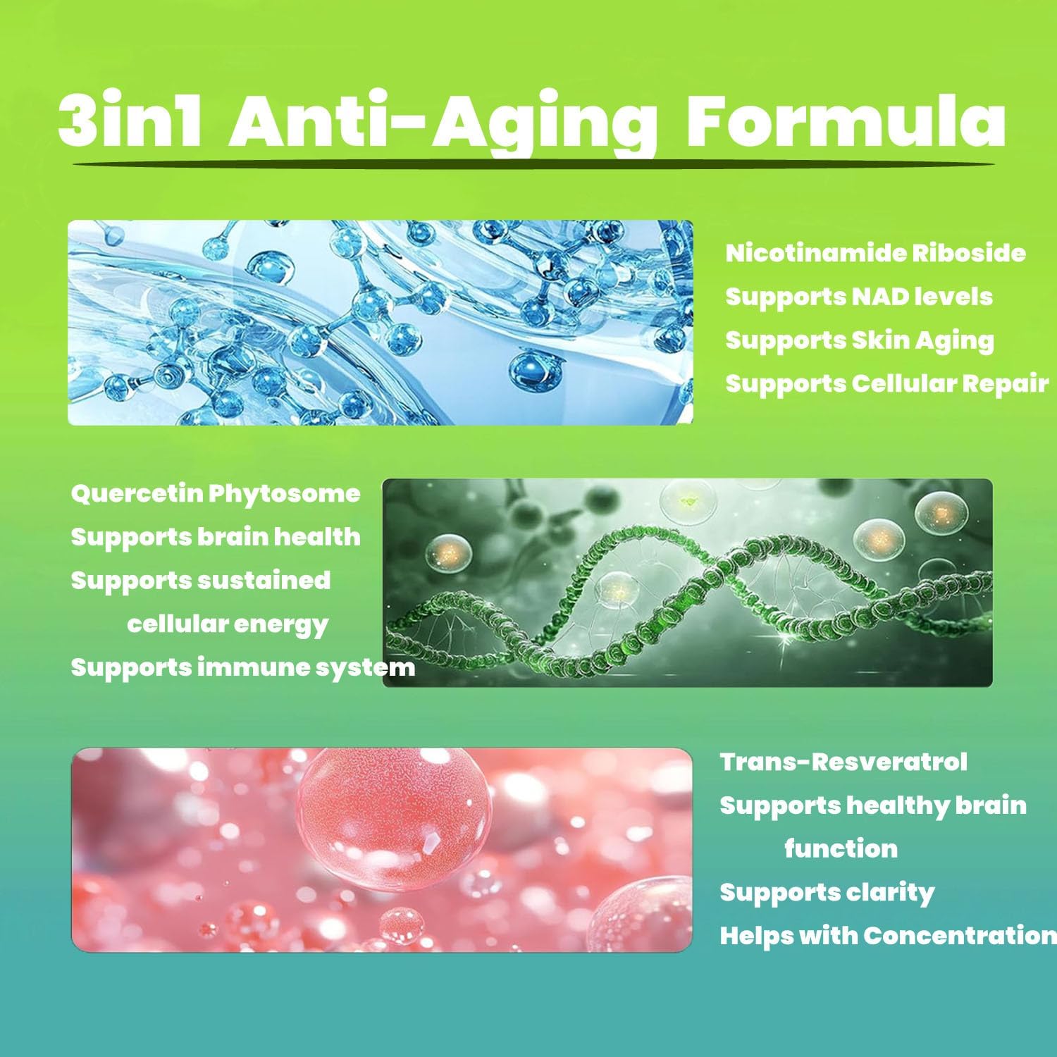 Renyqatt NAD+ Supplement - Liposomal Nicotinamide Riboside - Supplement for Anti-Aging, Energy, Focus - 80 Capsules(1B) - Image 6