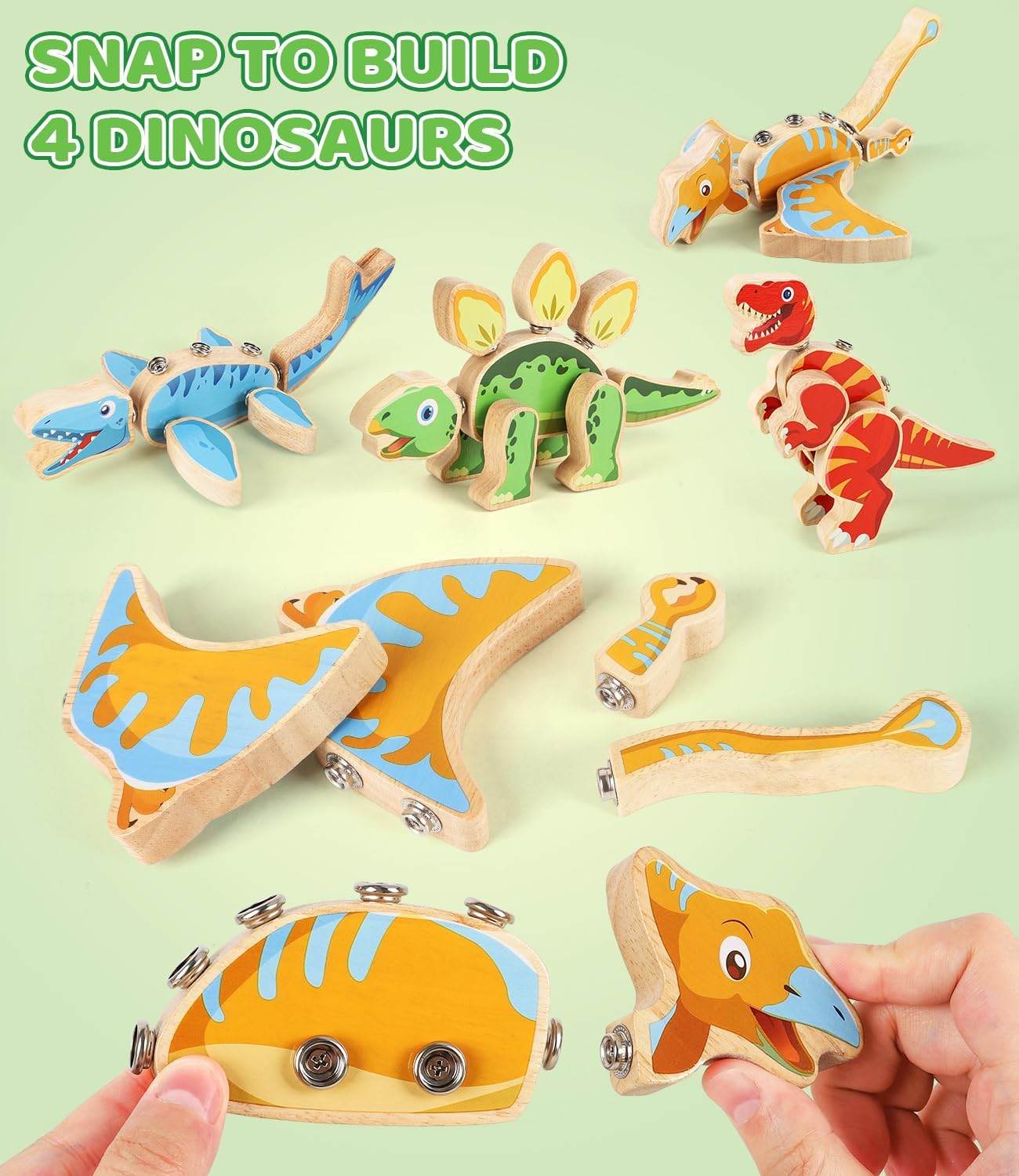 Dinosaur Wooden Toys,Snap on Dino Together Building Blocks,Take Apart Playset, STEM Montessori Educational Fine Motor Skill Learning Birthday Gift for 3 4 5 6+ Years Old Boy Girl Kids - Image 3
