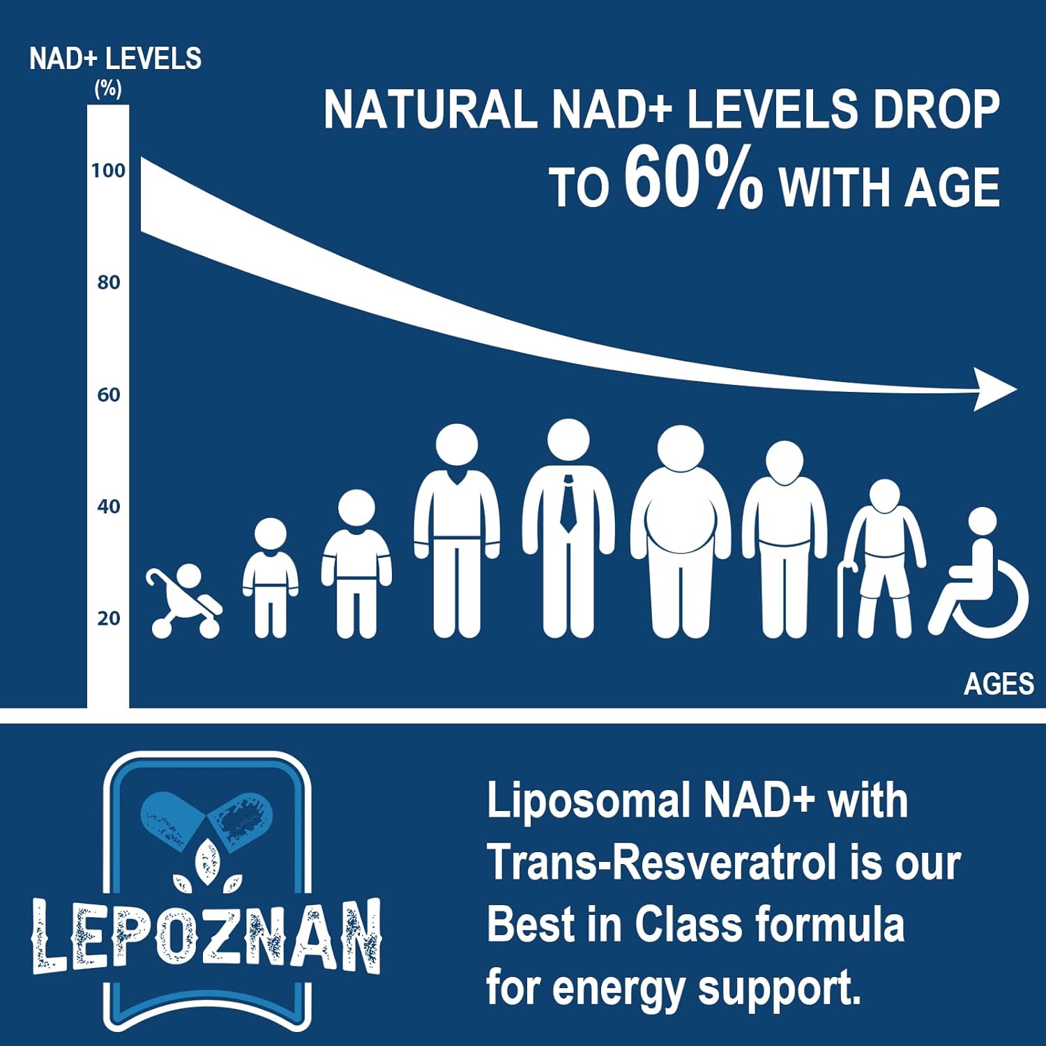 Liposomal NAD+ 500 mg + Trans-Resveratrol 300 mg, Superior Absorption True NAD Supplement Efficient for Cellular Energy Metabolism & DNA Repair, 60 Softgels - Image 4