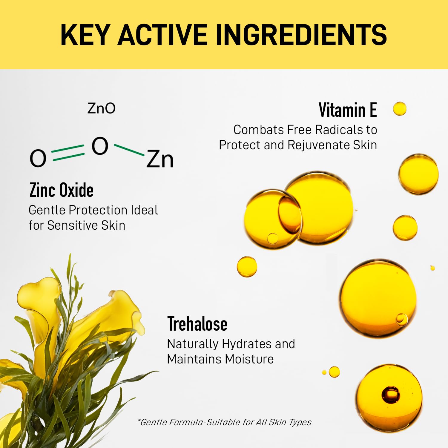 Tinted Moisturizer with SPF 50:Enaskin Naturals Face Tinted Sunscreen with Light Sheer Coverage, UVA/UVB Protection with Broad Spectrum PA+++ - 1.7 oz - Image 6