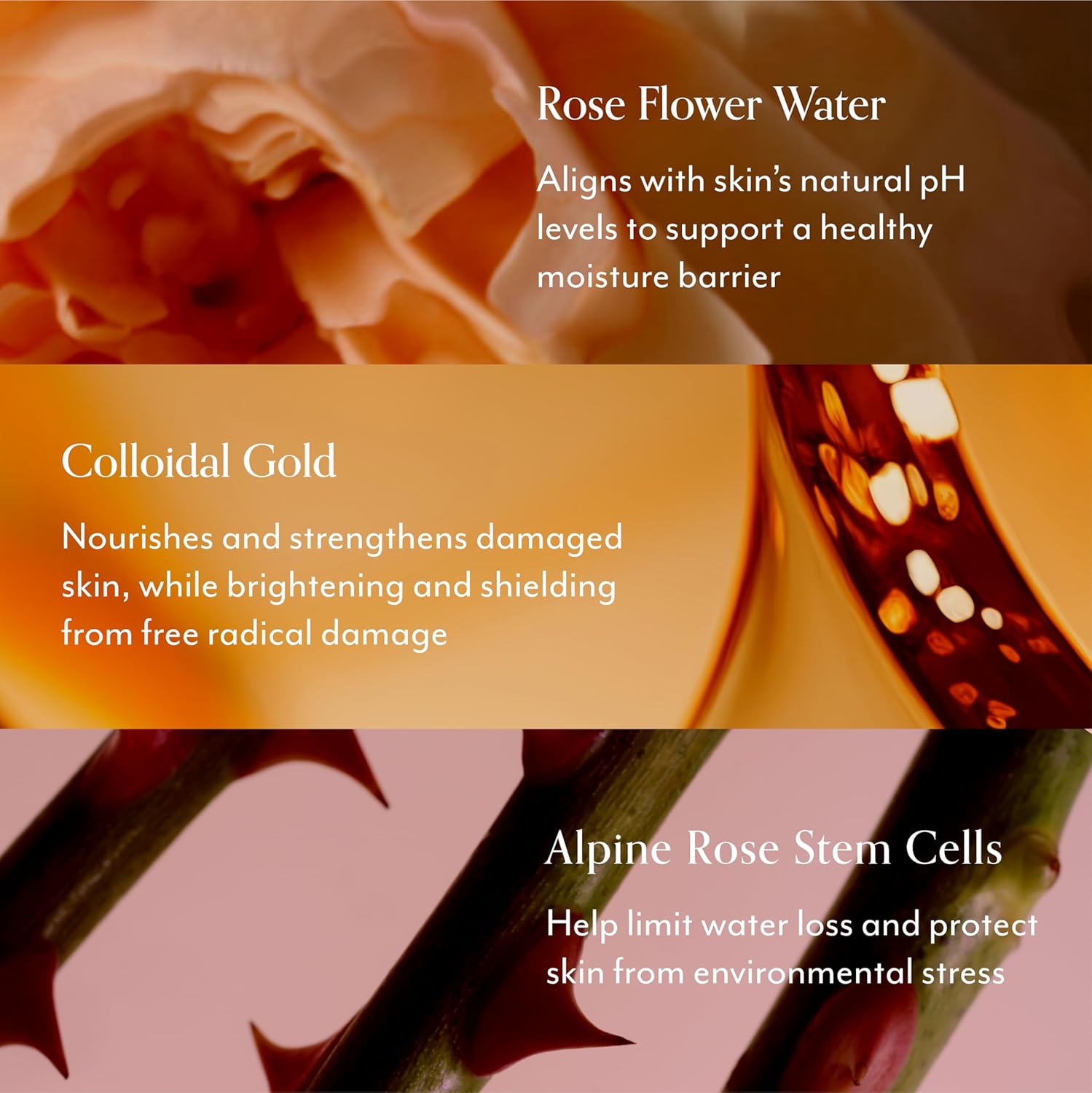 Bliss Rose Gold Rescue Gentle Moisturizer for Sensitive Skin | Fragrance-Free, Calming Daily Hydration with Rose Water & Colloidal Gold| 1.7 oz - Image 5