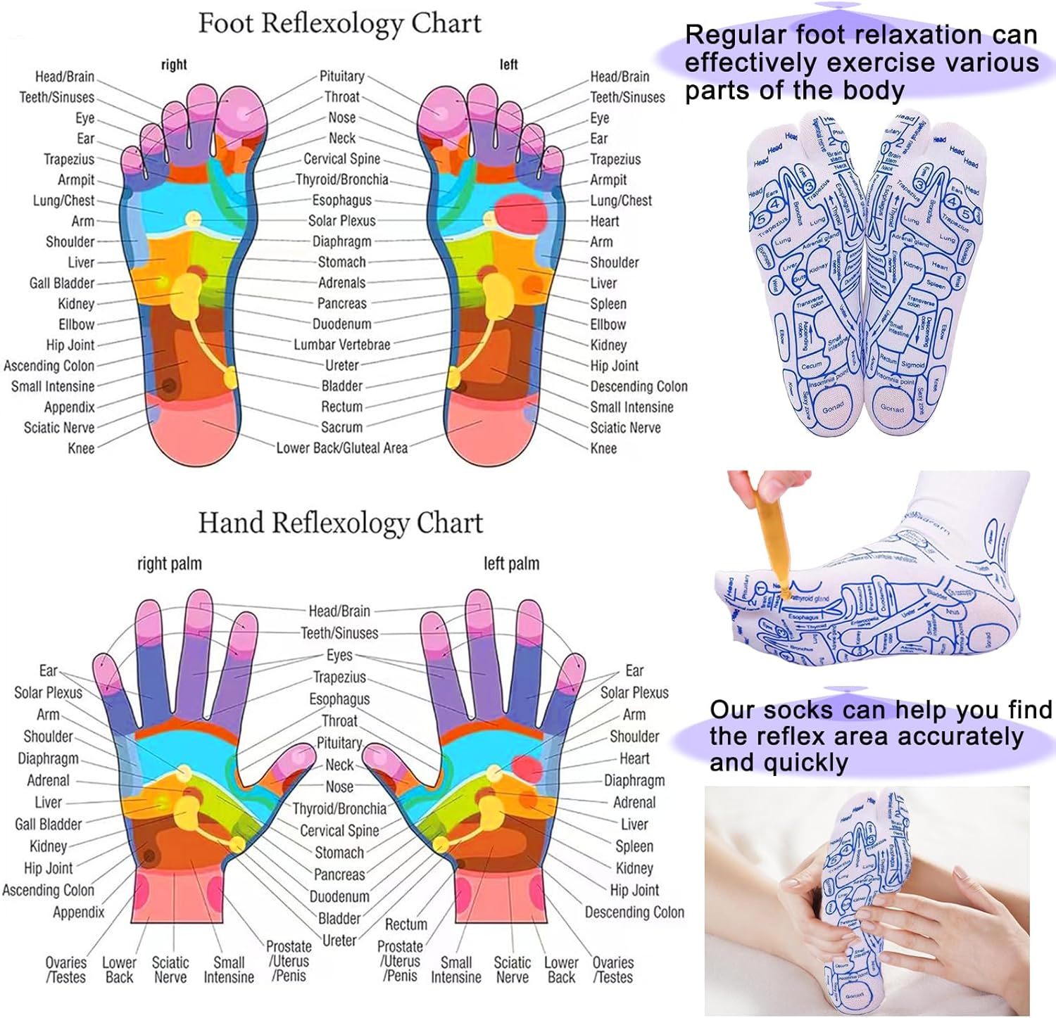 Reflexology Socks with Gloves Tools Set, Foot Massager Socks with 4pc Massage Tool, Socks with Trigger Point Massage Tool, Socks Suitable for Men and Women - Image 4