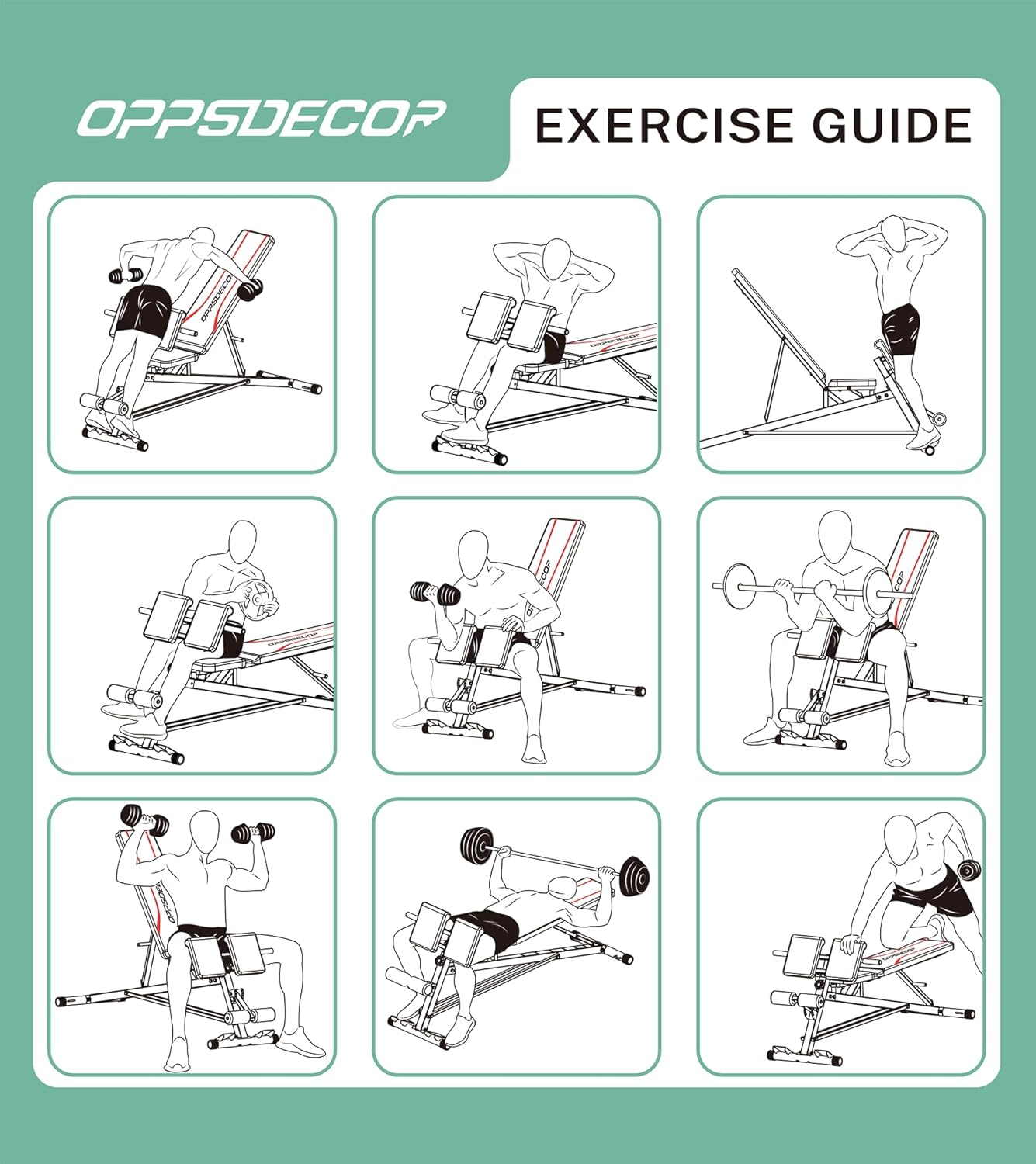 OPPSDECOR Adjustable Weight Bench with Preacher Curl, 900LBS Heavy Duty Roman Chair for Hyper Back Extension, 3 IN 1 Workout Bench Press for Home Gym Full Body Strength Training with 2 Resistance Bands - 2024 Upgrade - Image 8