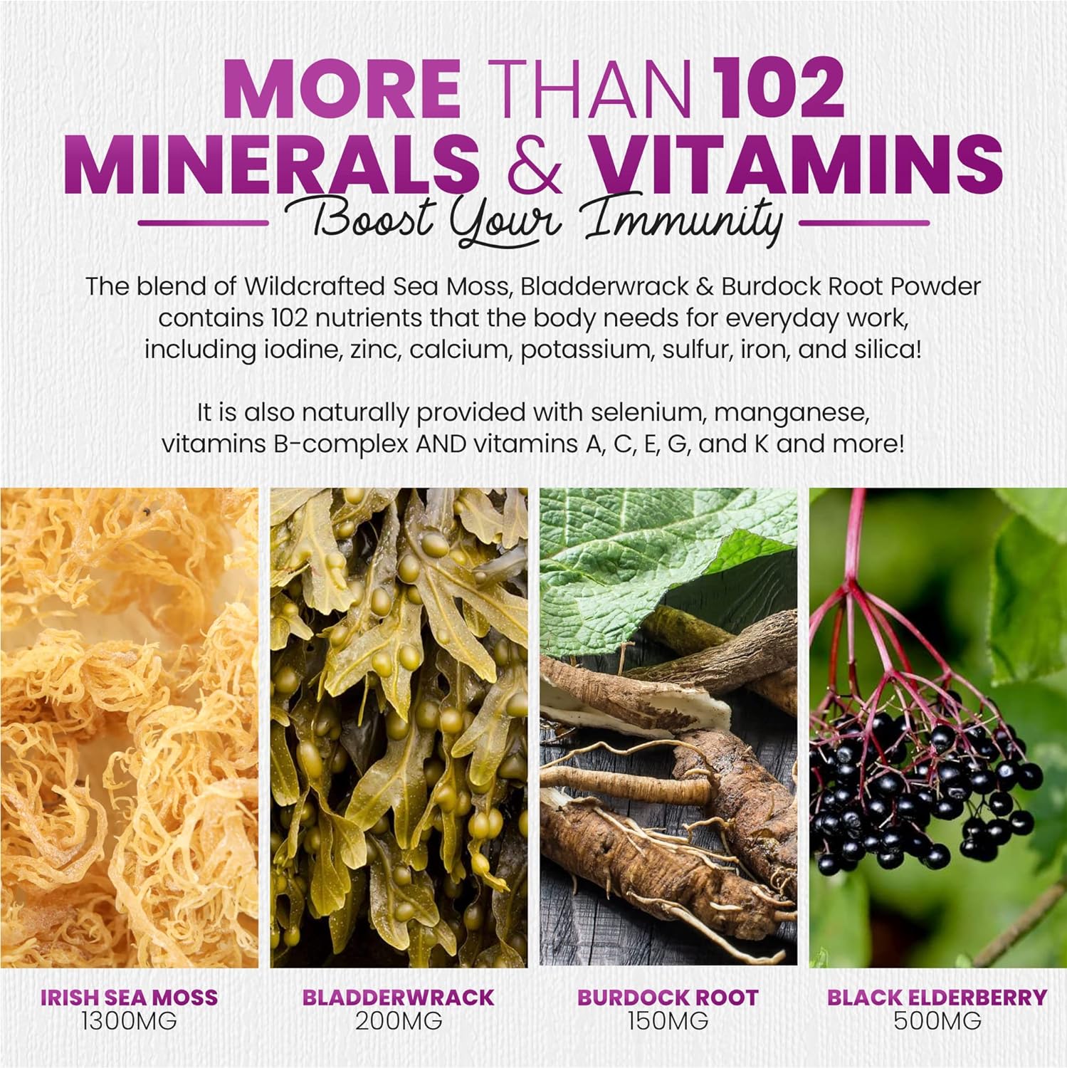 Irish Sea Moss Gummies with Elderberry & Black Seed Oil - Overall Wellness Support | Rich in Vitamins, Raspberry Flavor | 60 Gummies - Image 5