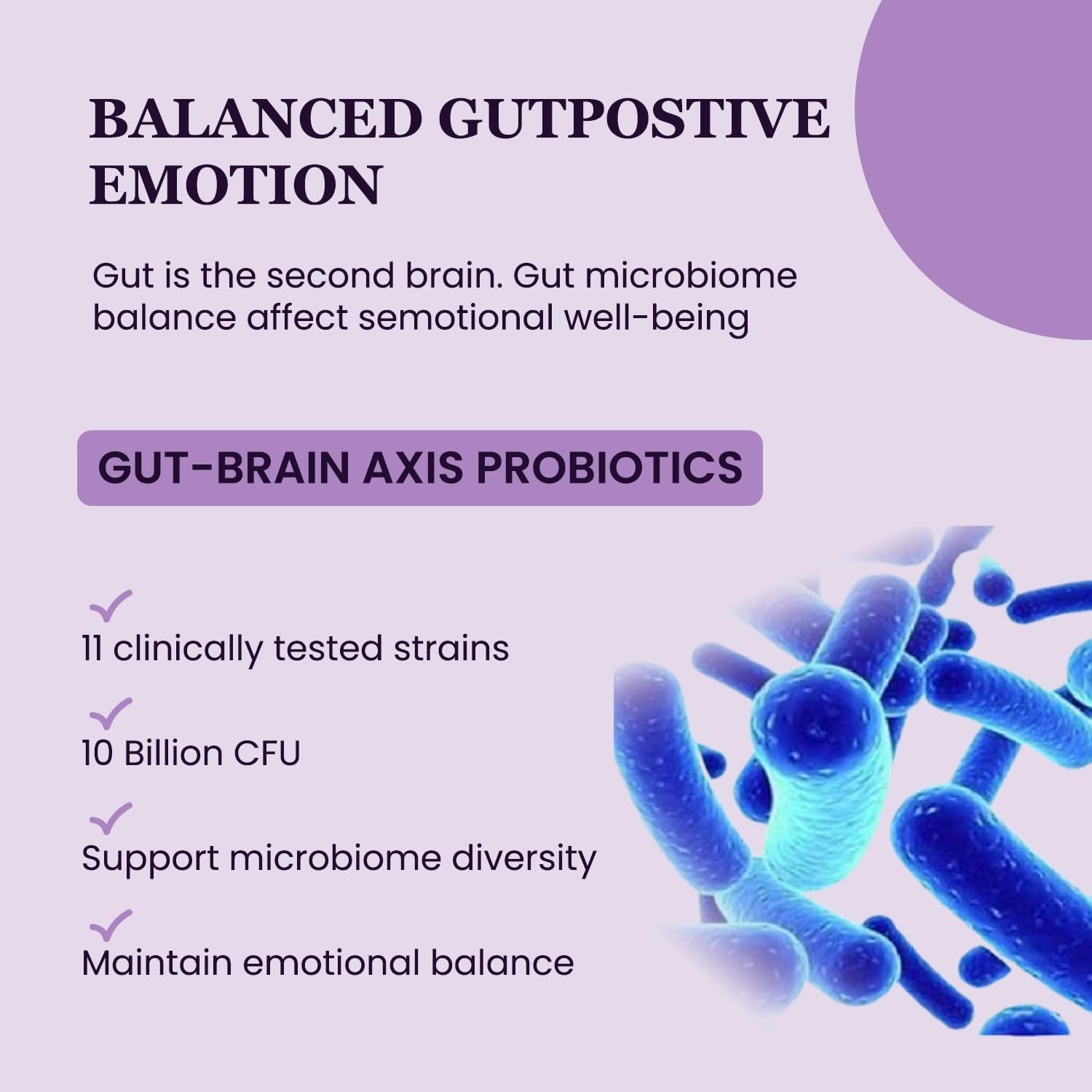 UpNourish Organic Ashwagandha Saffron Supplements with Probiotics - Stress Relief, Mood Enhancer, Calm Happy Pills Support Fatigue Focus Clarity with L-Theanine, Rhodiola, 30 Vegan Capsules - Image 6