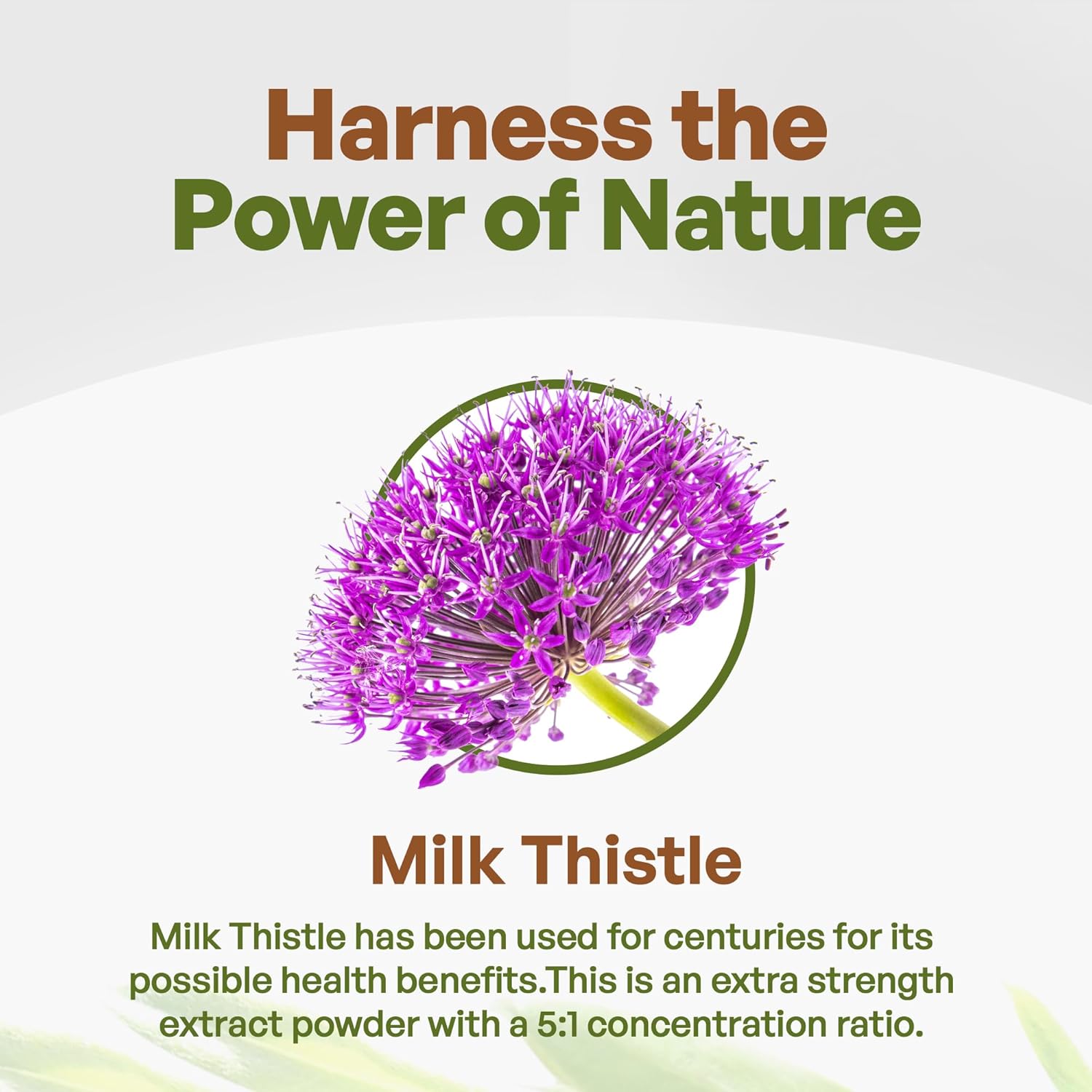 Go Nutra Milk Thistle Powder 1 lb. | Milk Thistle Extract 5:1 Strength Silymarin | Silybum Marianum Herbal Supplement Non-GMO - Image 4