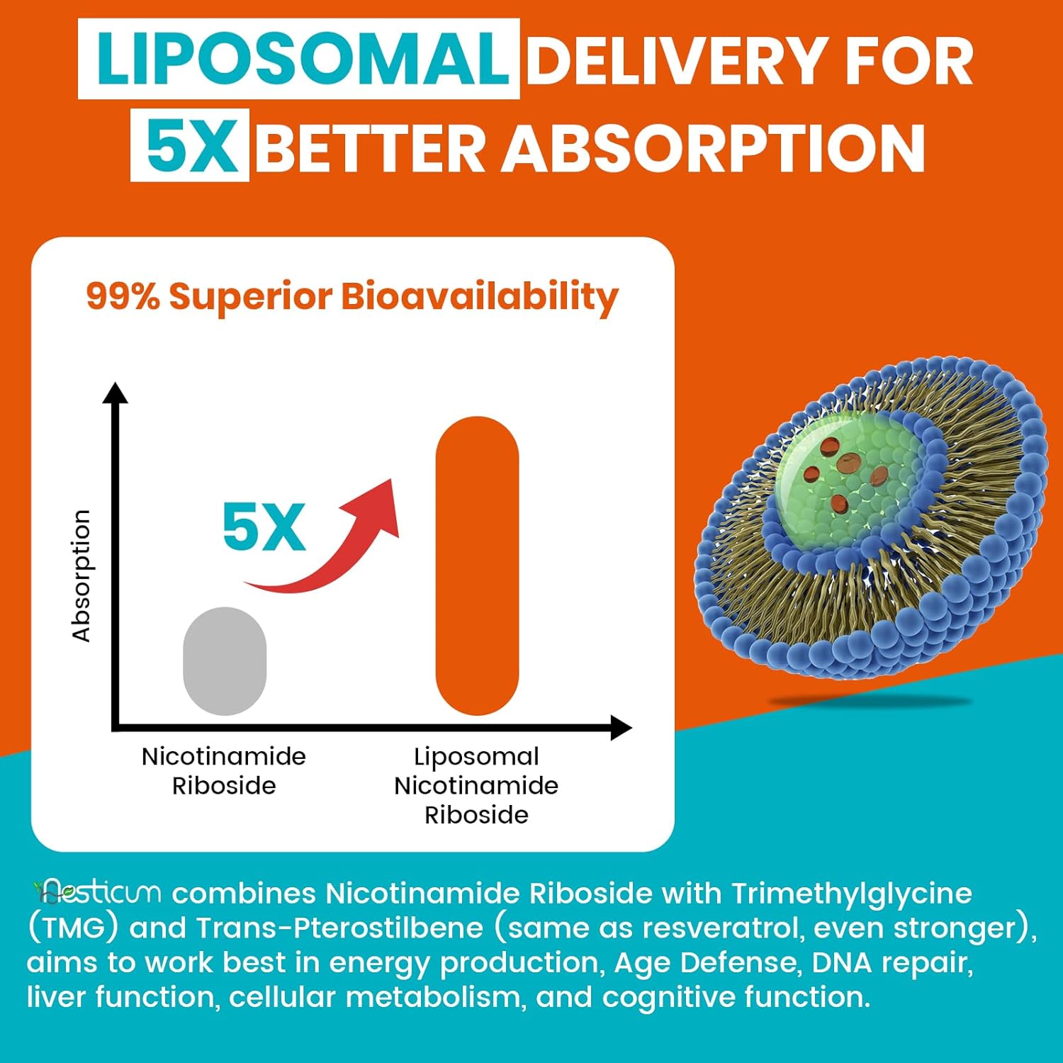 2000 MG Liposomal Nicotinamide Riboside Supplement with TMG & Pterostilbene, High Bioavailability NAD+ Boosting Supplement, Superior to Niacinamide for Energy, Immunity, Age Resistance, 60 Softgels - Image 6