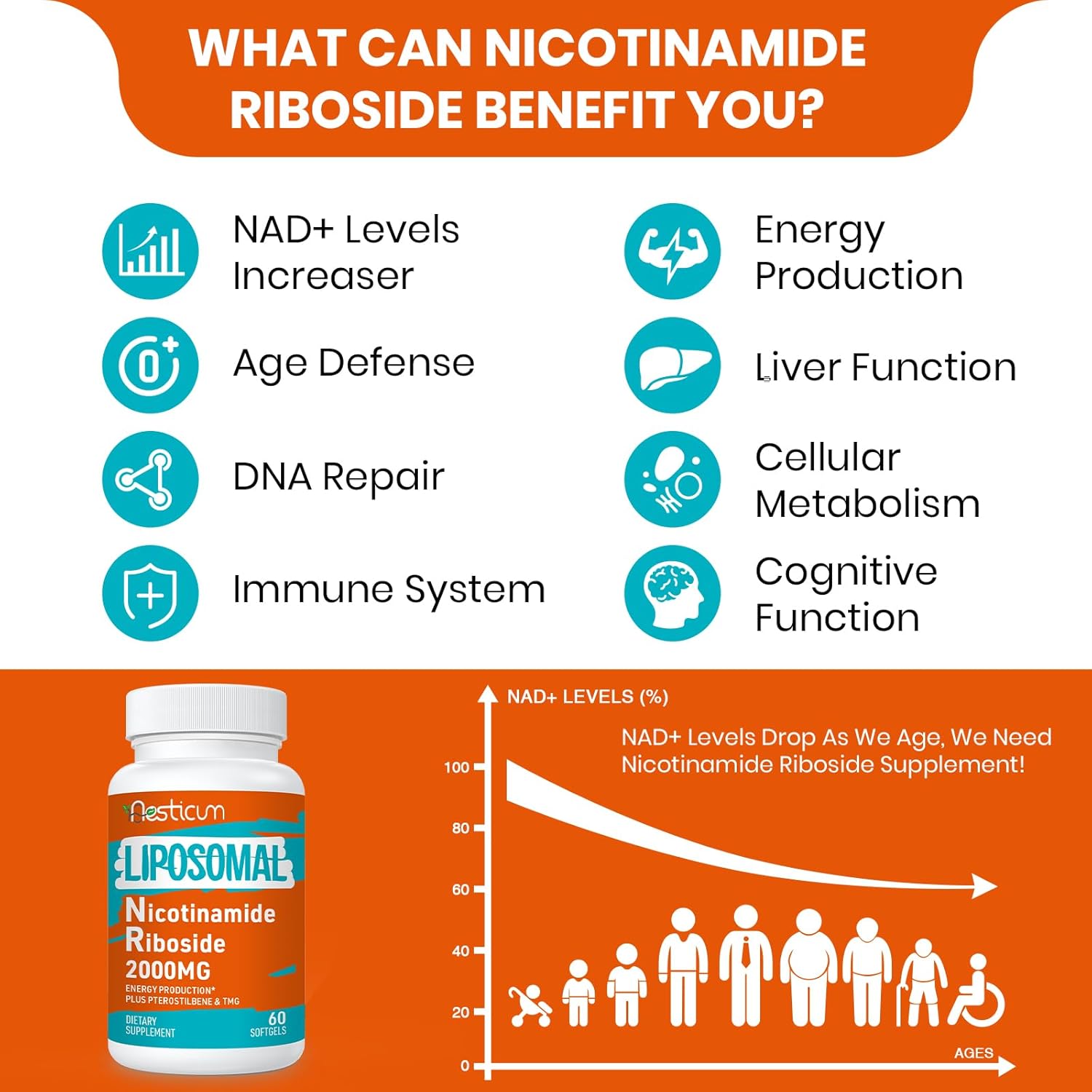 2000 MG Liposomal Nicotinamide Riboside Supplement with TMG & Pterostilbene, High Bioavailability NAD+ Boosting Supplement, Superior to Niacinamide for Energy, Immunity, Age Resistance, 60 Softgels - Image 4