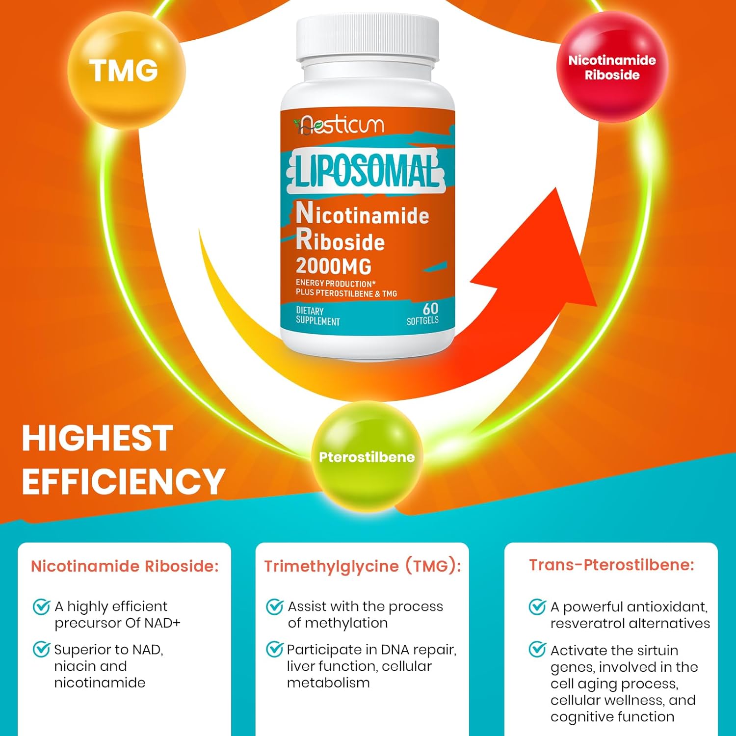 2000 MG Liposomal Nicotinamide Riboside Supplement with TMG & Pterostilbene, High Bioavailability NAD+ Boosting Supplement, Superior to Niacinamide for Energy, Immunity, Age Resistance, 60 Softgels - Image 5