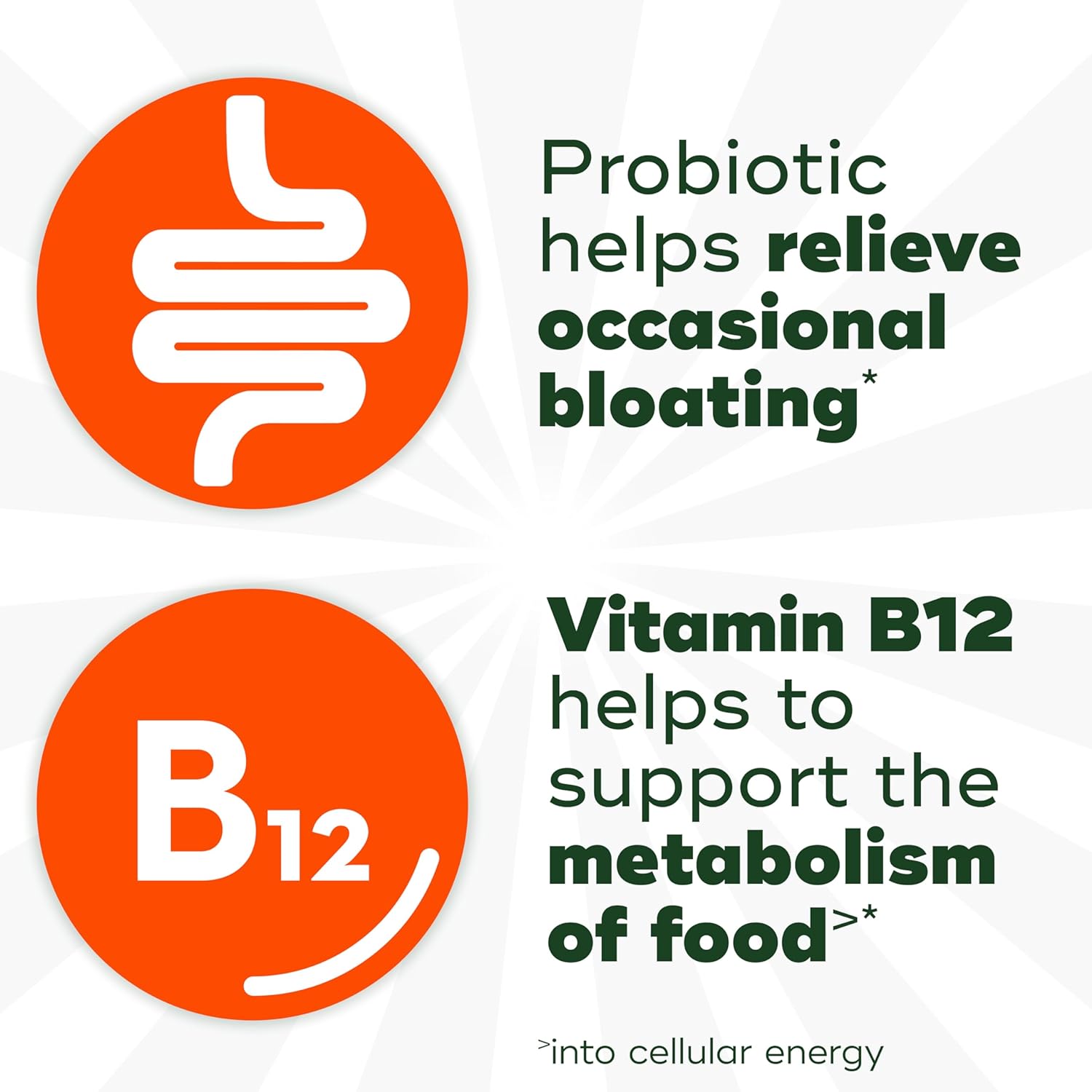 Align Probiotic, Bloating Relief + Food Digestion, Probiotics for Women and Men, Probiotic Helps Soothe Occasional Bloating*, With Vitamin B12 to Help Break Down Food into Cellular Energy*,60 Gummies - Image 4