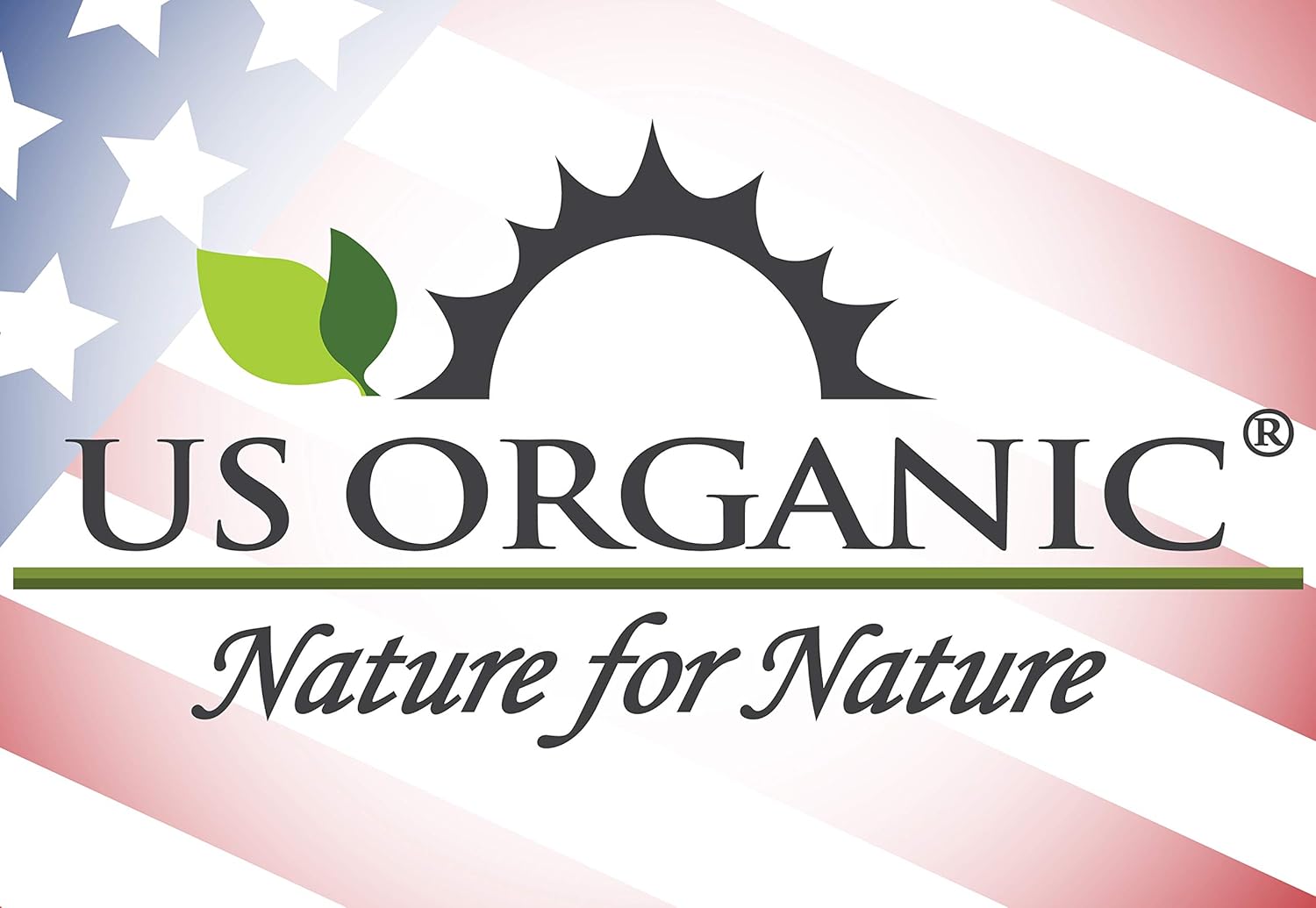 US Organic Castor Oil, USDA Certified Organic,Expeller Pressed, Hexane Free, 100% Pure & Natural moisturizing and emollient properties, For Skin, Hair Care, Eyelashes, DIY projects (4 oz (115 ml)) - Image 7