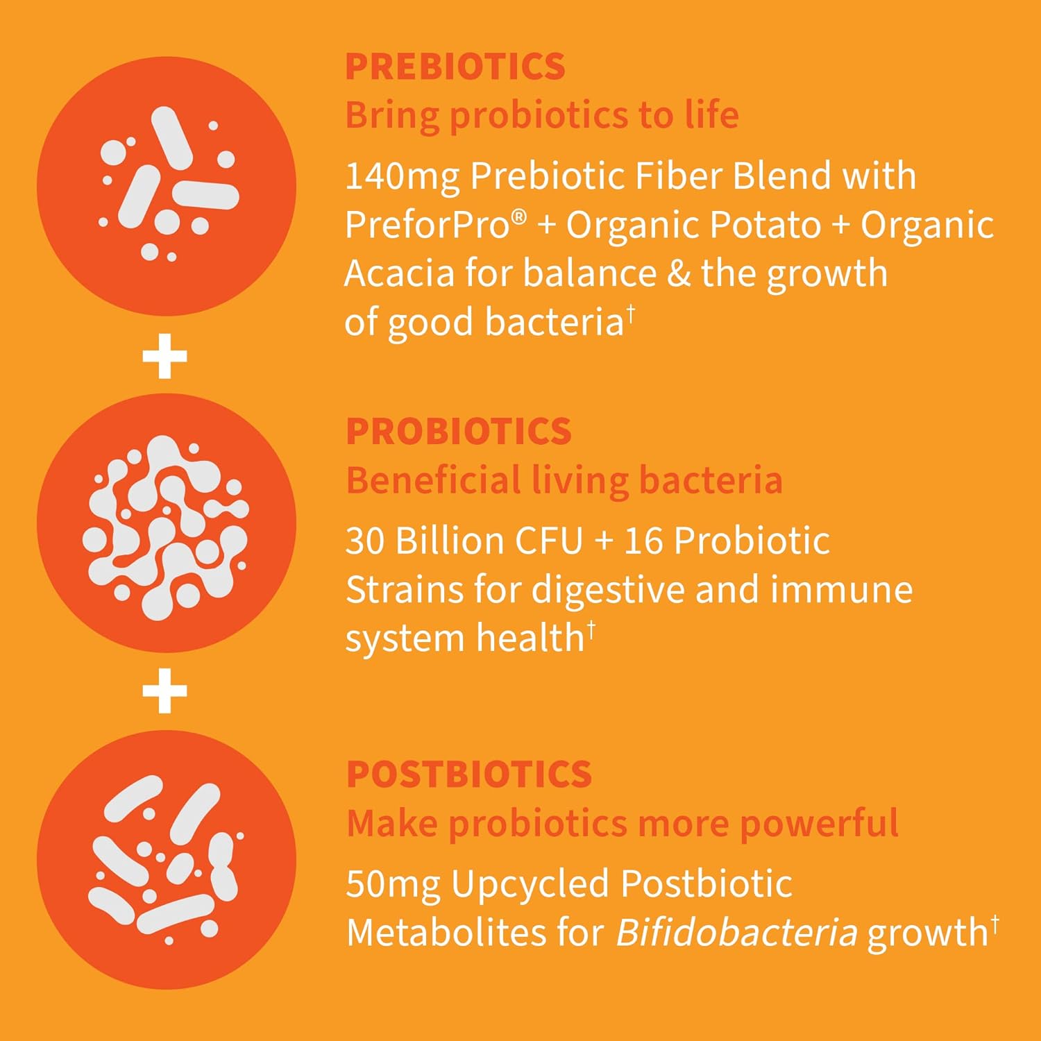 Garden of Life Dr Formulated Once Daily 3-in-1 Complete Probiotics, Prebiotics & Postbiotics - PRE + PRO + POSTBIOTIC Supplement for Adults’ Digestive & Immune Health, 30 Billion CFU, 30 Day Supply - Image 5