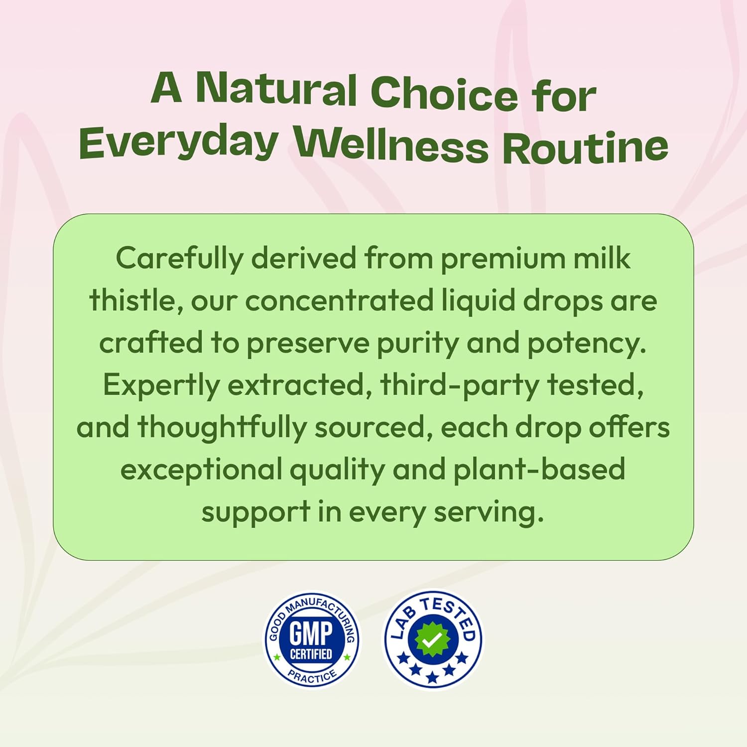 Milk Thistle Supplement Liquid Drops with 80% Silymarin Flavonoids – Vegan, Organic Milk Thistle Extract – Easily Mix with Tea Daily for Antioxidant Properties, Liver, Immune Care (Mixed Berry, 60 mL) - Image 8