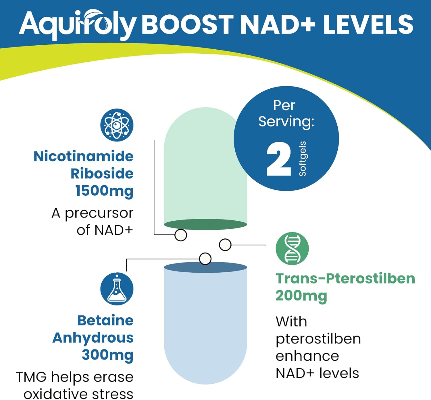 Liposomal Nicotinamide Riboside Supplement 2000 mg with TMG and Pterostilbene for Maximum Absorption, Superior to NAD, Boosting NAD+, Cellular Energy, and Age Defense, 60 Softgels - Image 5