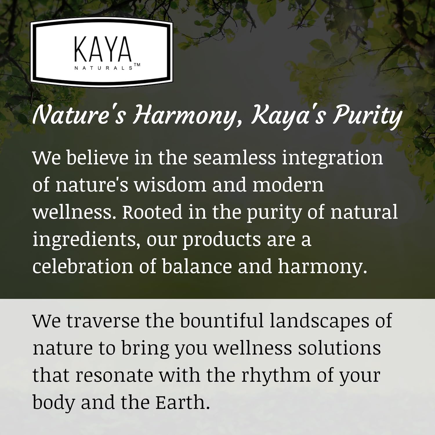 Kaya Naturals - Natural Herbal Stress Support Vitamin Supplement to Relax and Calm The Mind - Boost Mood - Happy Pills - Stress Relief Support - Vitamin Supplement - 60 Capsules - Image 10