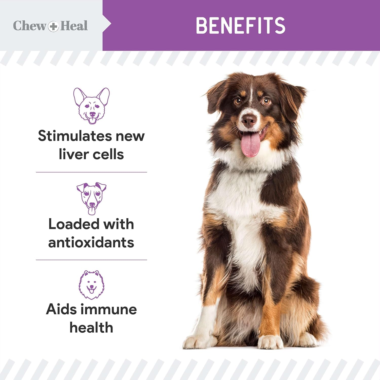 Milk Thistle for Dogs Liver Support - 2 oz Liquid Milk Thistle Supplement for Kidney and Liver Support - with Wild Alaskan Salmon Oil and Moringa Oil - Made in USA - Image 5