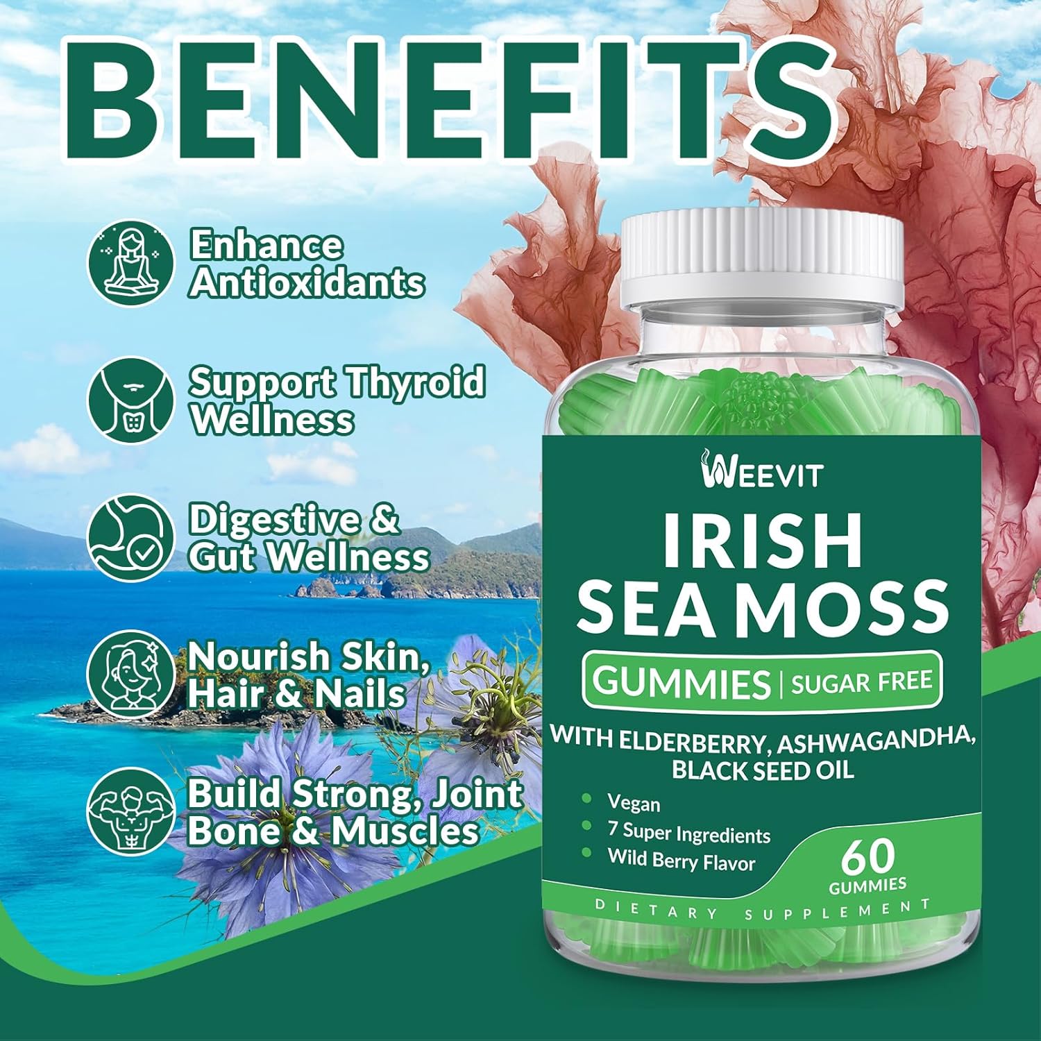 Sea Moss Gummies - Irish Sea Moss with Black Seed Oil, Ashwagandha, Elderberry, Burdock, Bladderwrack for Men & Women- Immune, Skin, Digestive, and Energy Support - Image 3