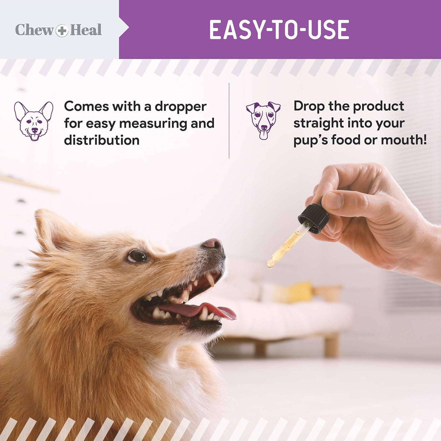 Milk Thistle for Dogs Liver Support - 2 oz Liquid Milk Thistle Supplement for Kidney and Liver Support - with Wild Alaskan Salmon Oil and Moringa Oil - Made in USA - Image 8