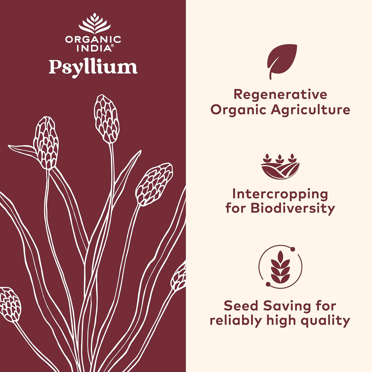 ORGANIC INDIA Psyllium Husk Capsules - Fiber Supplement, Healthy Elimination - Vegan, Keto Friendly, Gluten-Free, USDA Certified Organic, Non-GMO, Soluble & Insoluble Fiber Source - 180 Count - Image 4