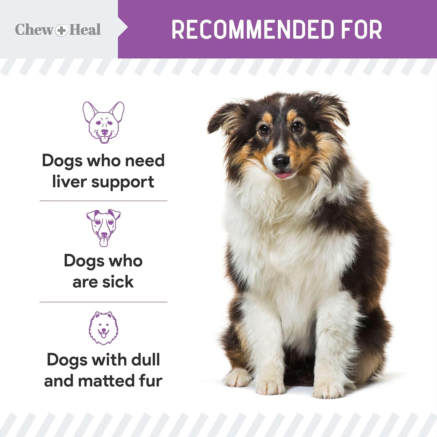Milk Thistle for Dogs Liver Support - 2 oz Liquid Milk Thistle Supplement for Kidney and Liver Support - with Wild Alaskan Salmon Oil and Moringa Oil - Made in USA - Image 6