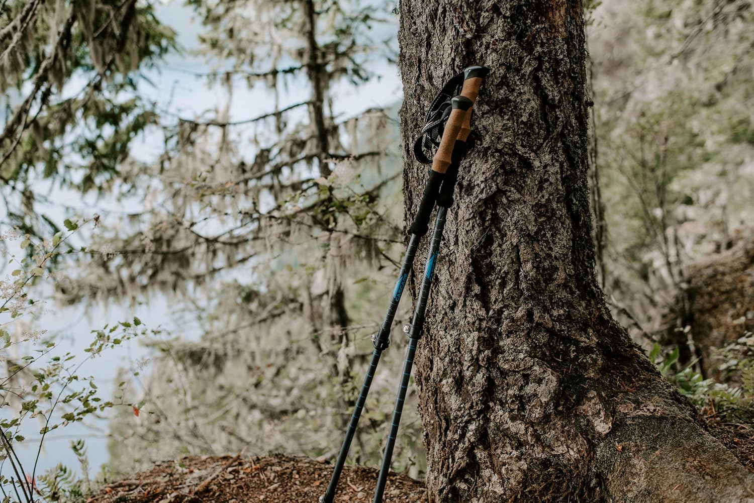 Cascade Mountain Tech Trekking Poles - Carbon Fiber Walking or Hiking Sticks with Quick Adjustable Locks - Image 10